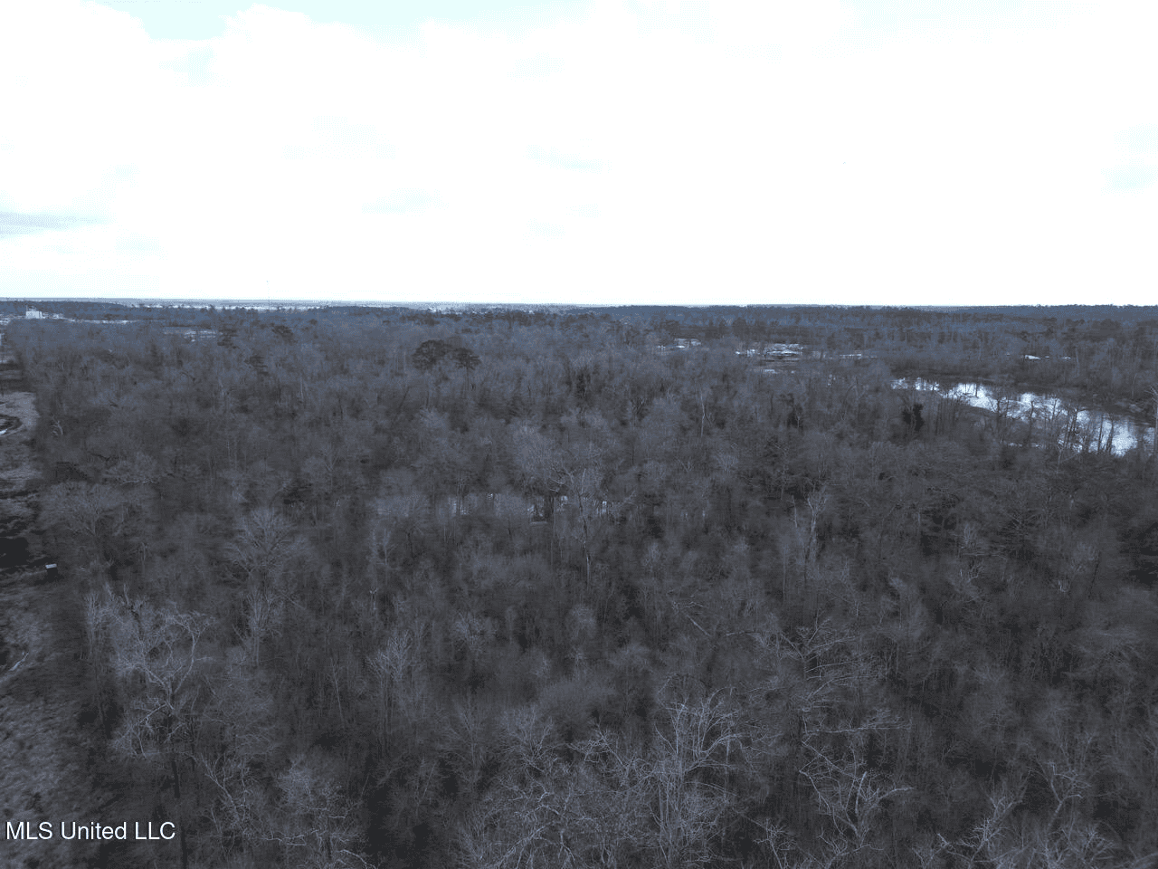 700 Acres in Allen Parish, Louisiana