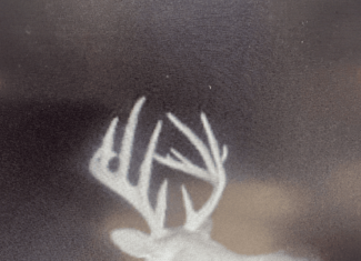 220 Acres South MS Hunting Tract with Camp/Homesite