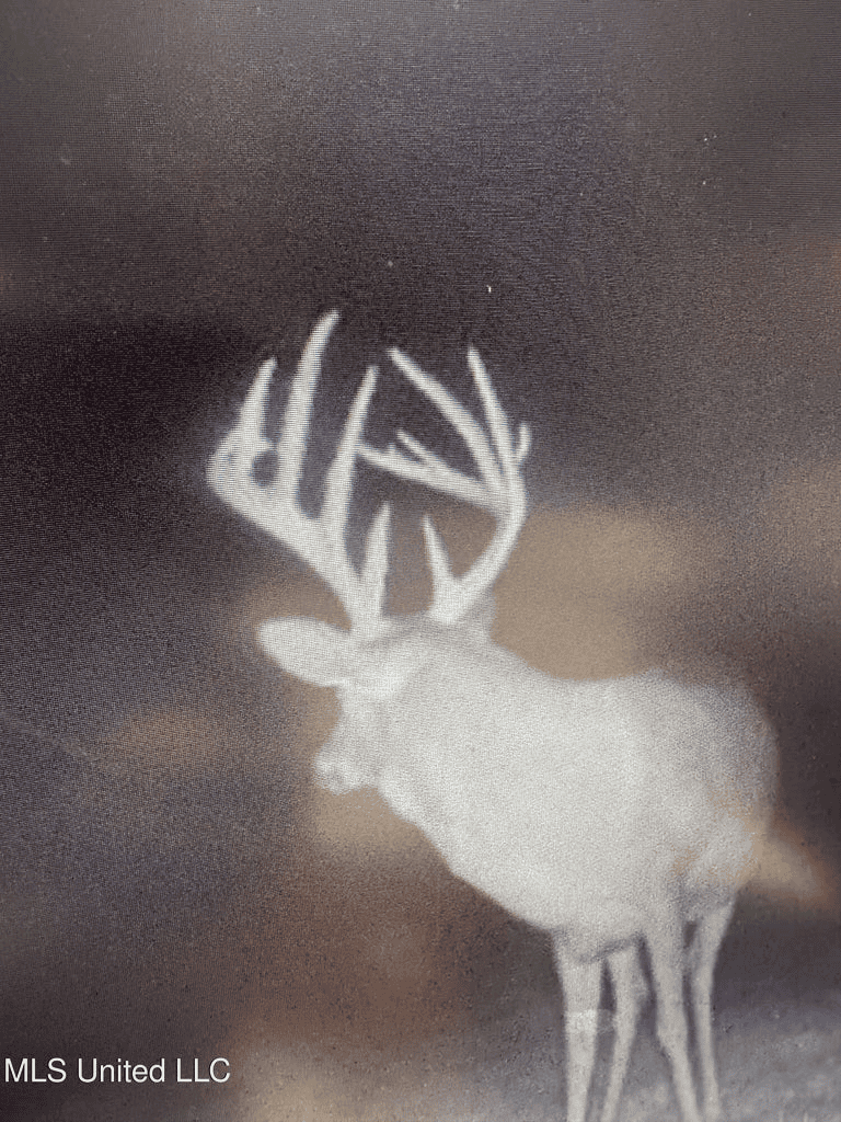 220 Acres South MS Hunting Tract with Camp/Homesite