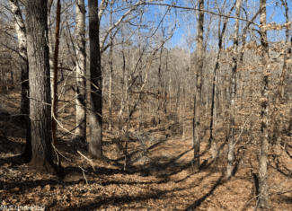 Hunting Land for Sale in Yalobusha County, MS