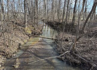 LAND FOR SALE IN TN, 19 AC, TILLABLE, CREEK, BUILDING SITE