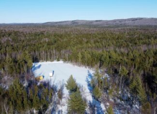 42.9 Acre Off-Grid Parcel – Prentiss, Maine