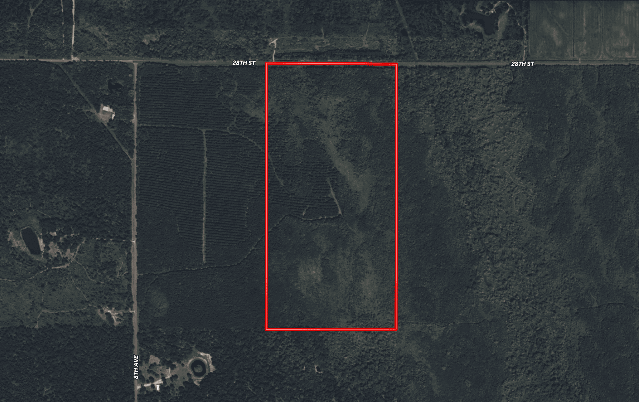 81.64± Acre Parcel in the Town of Clearfield, Juneau County