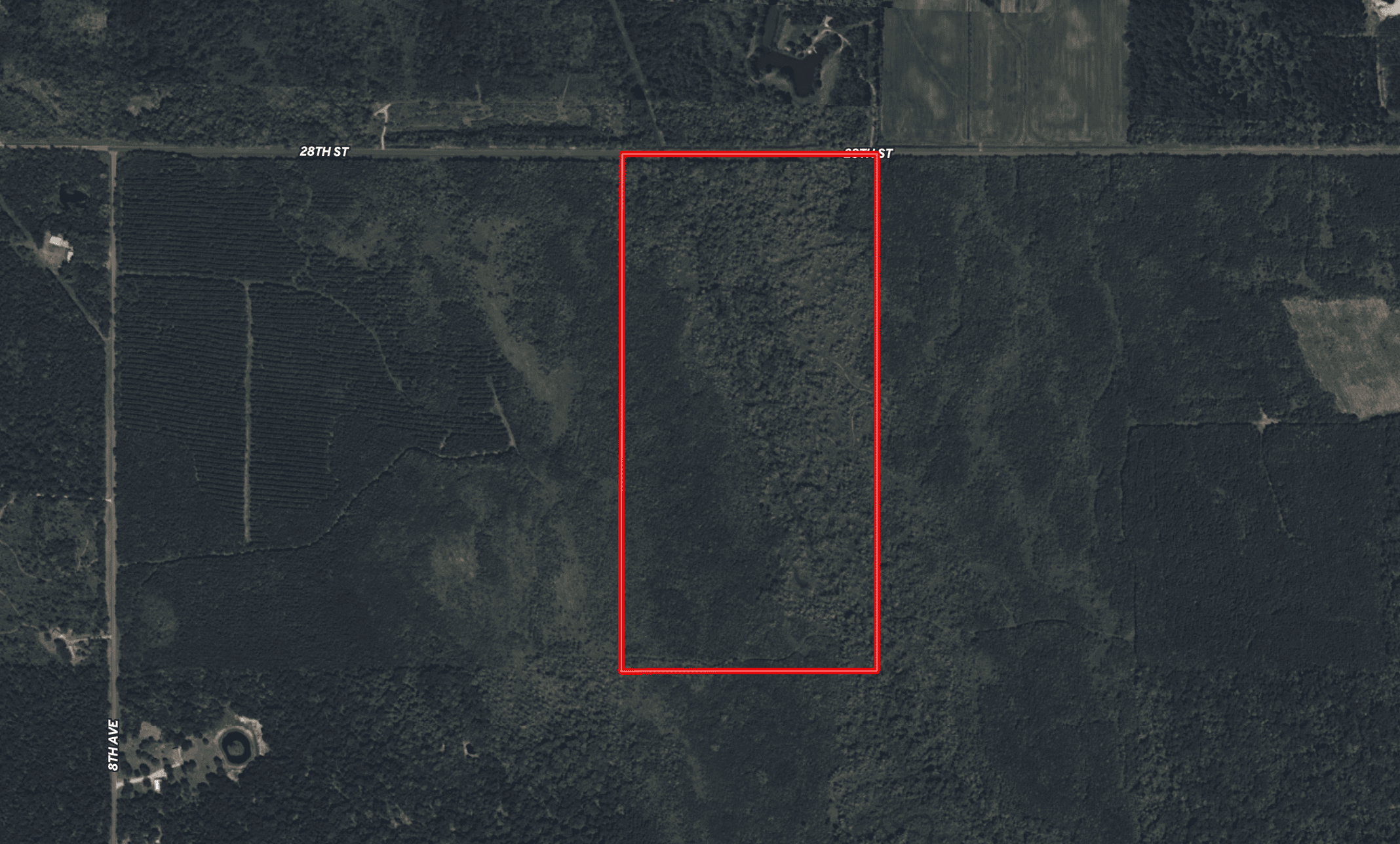 81.54± Acre Parcel in the Town of Clearfield, Juneau County