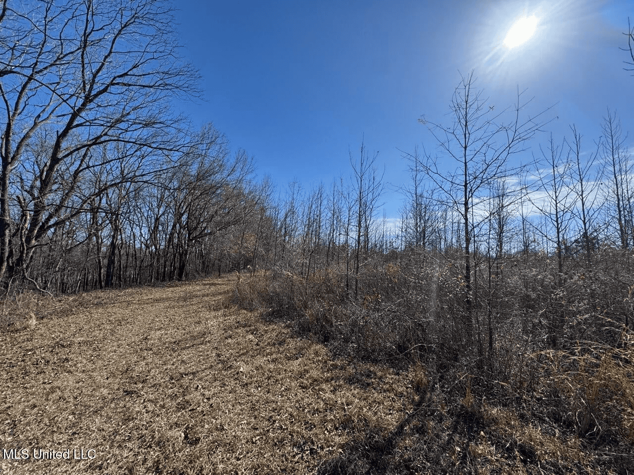 Tensas Riverfront Hunting Land Concordia Parish, LA
