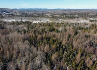 ICF Home on 20.5 Acres at the Gateway to the North Maine Woods