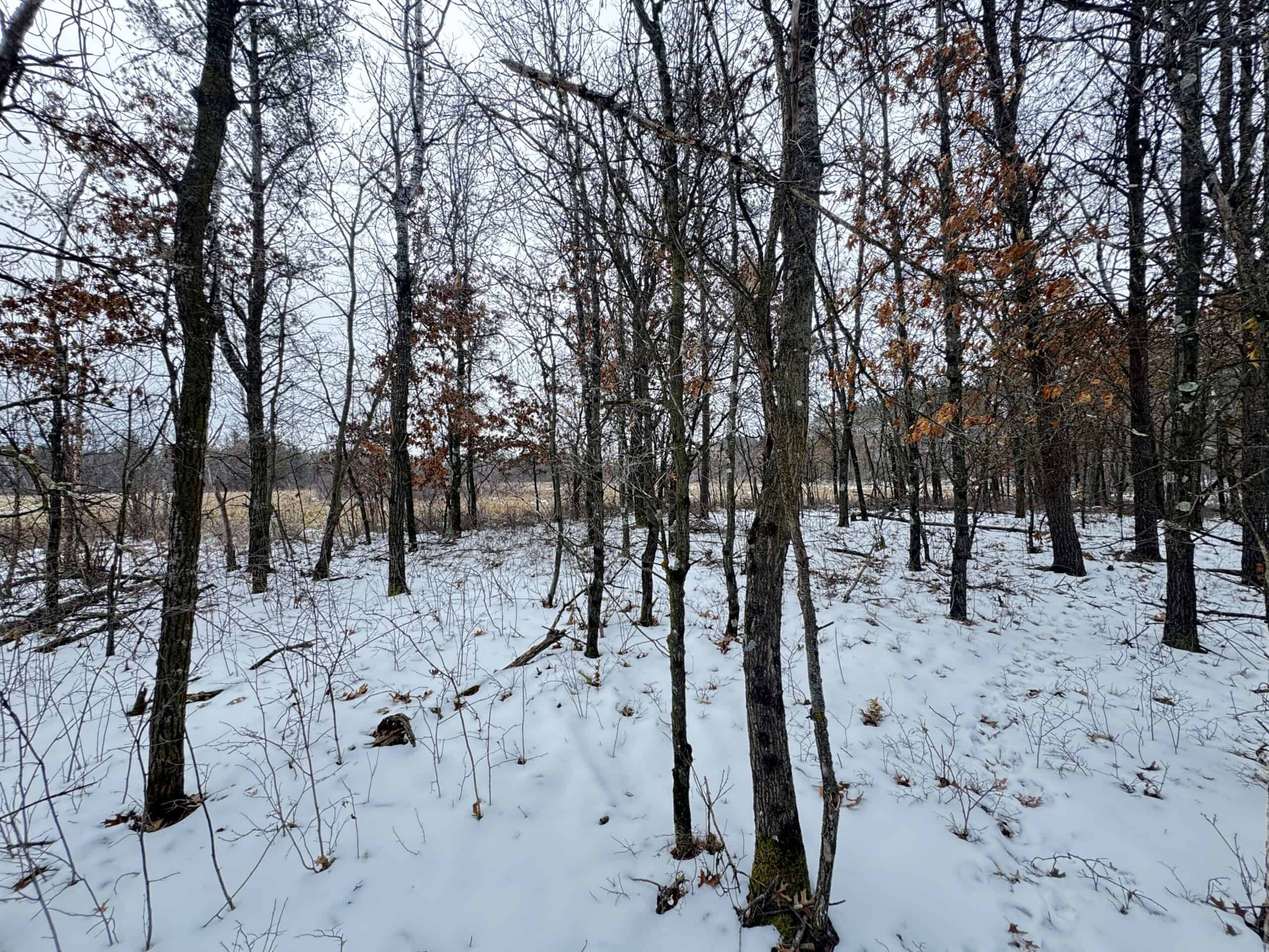 120± acre tract in the Town of Clearfield, Juneau County