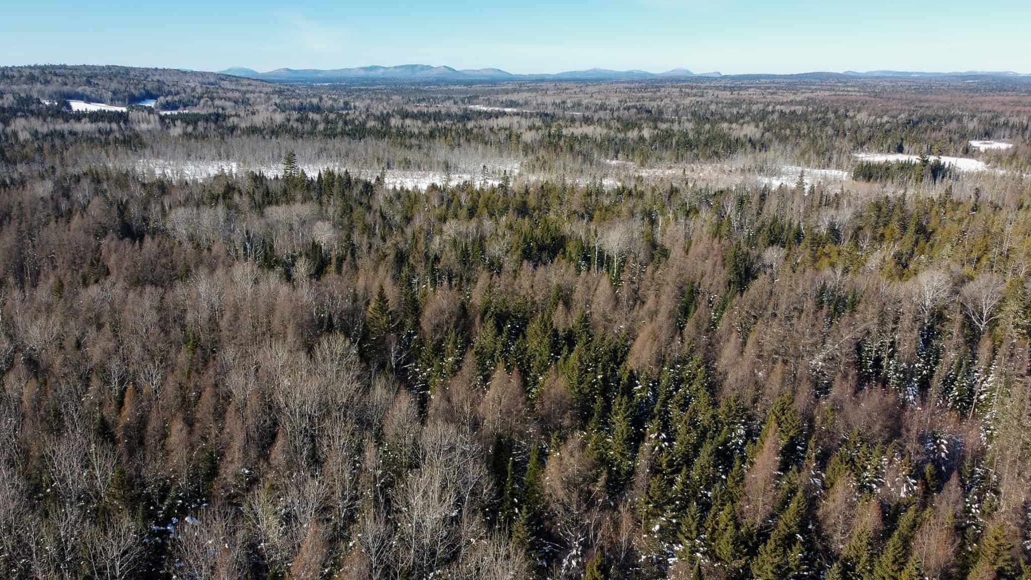ICF Home on 20.5 Acres at the Gateway to the North Maine Woods