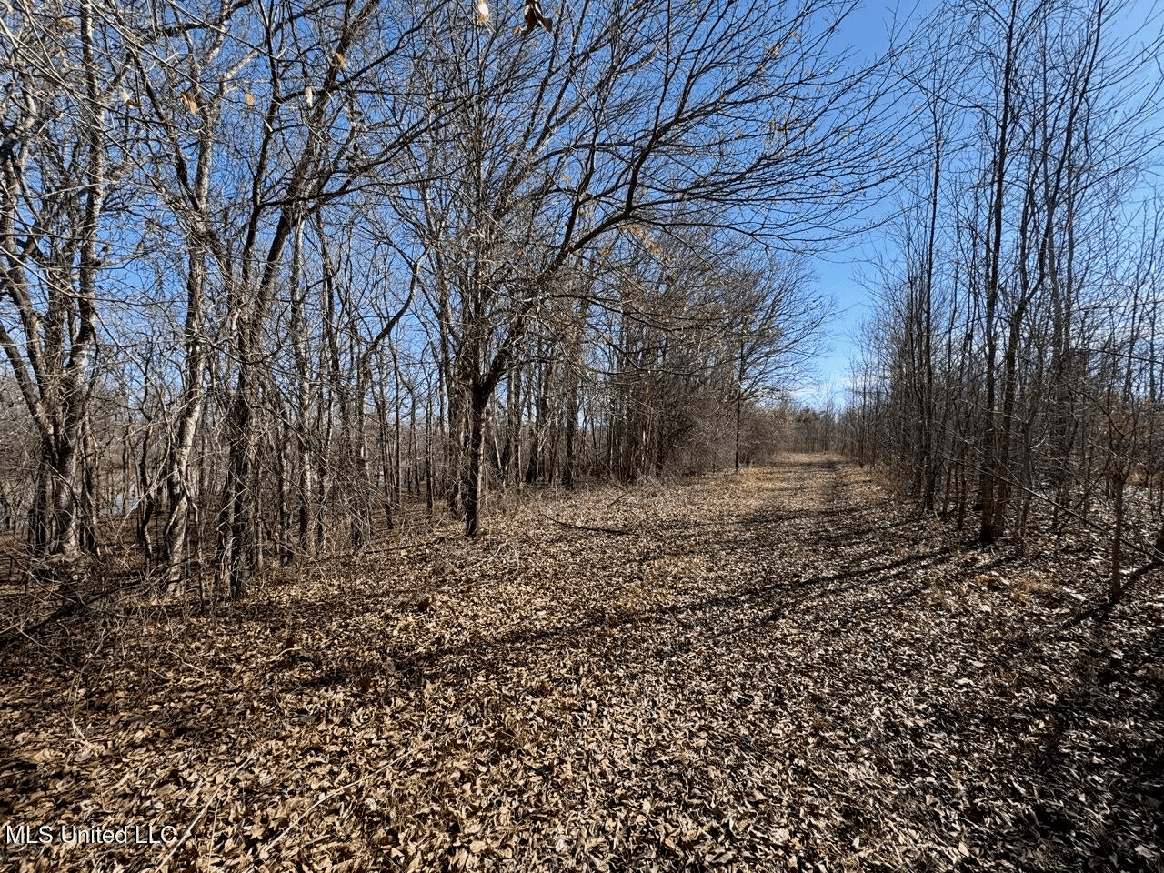 Tensas Riverfront Hunting Land Concordia Parish, LA