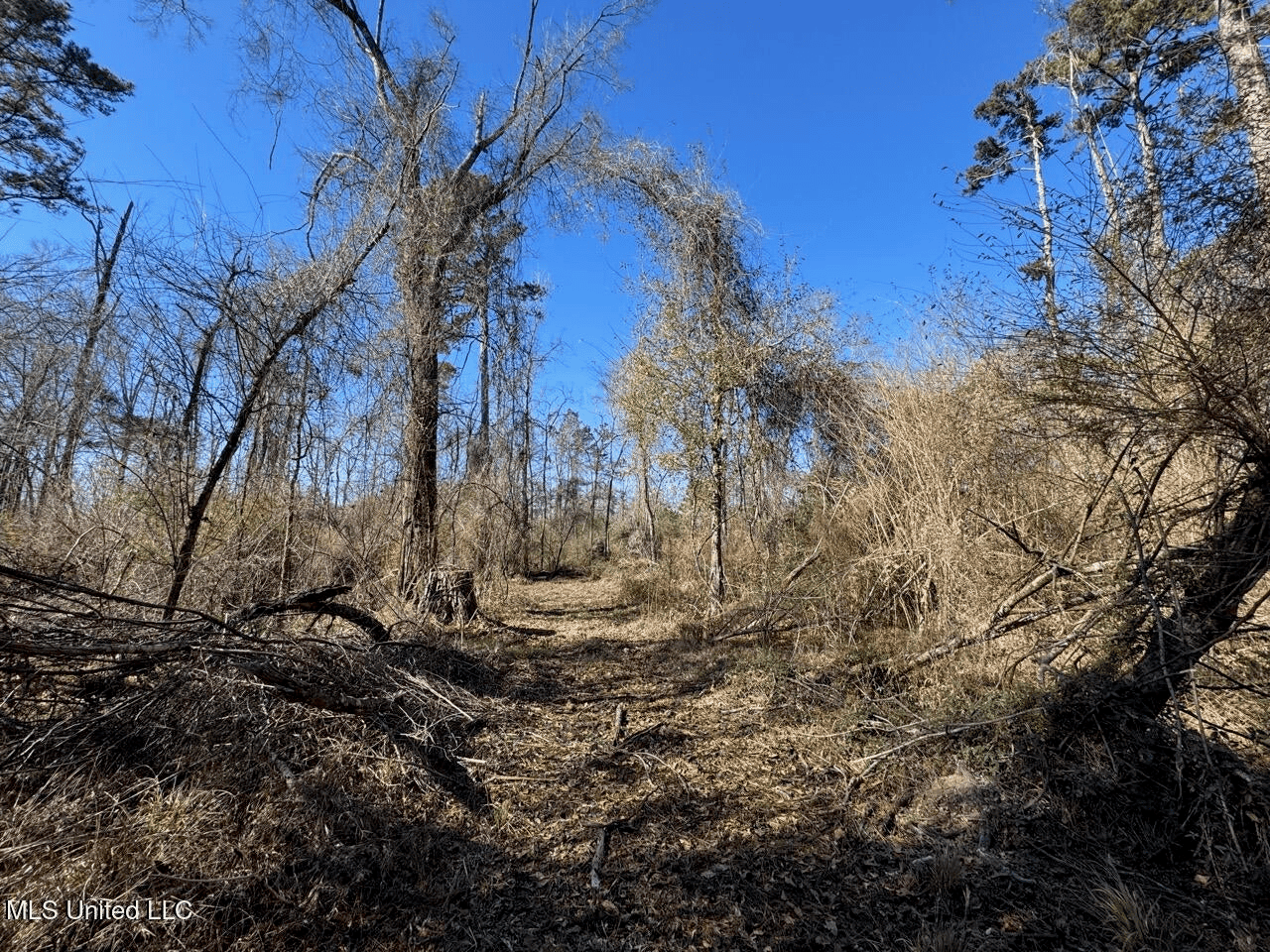 255 Acres East Baton Rouge Parish Near Zachary, LA