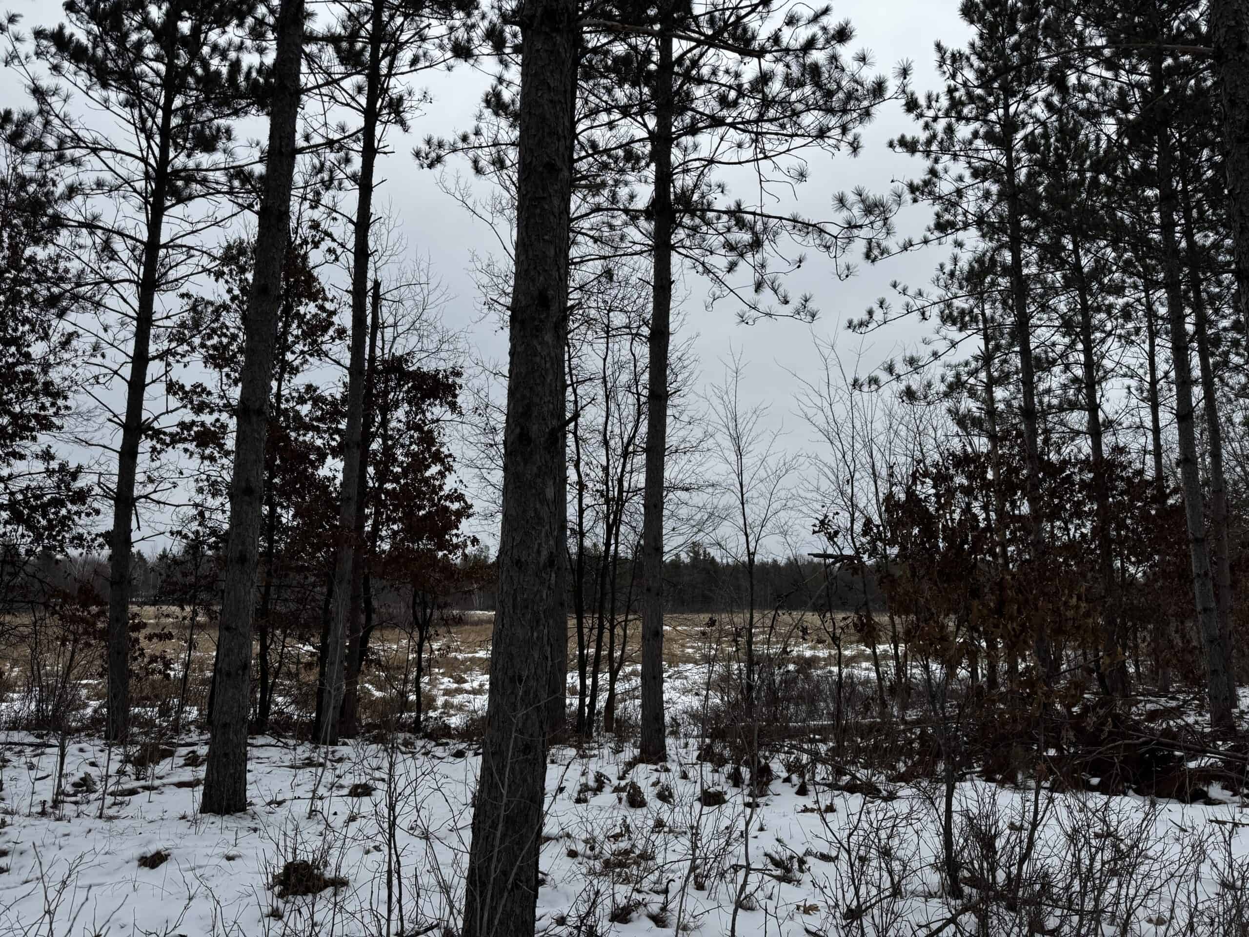 120± acre tract in the Town of Clearfield, Juneau County