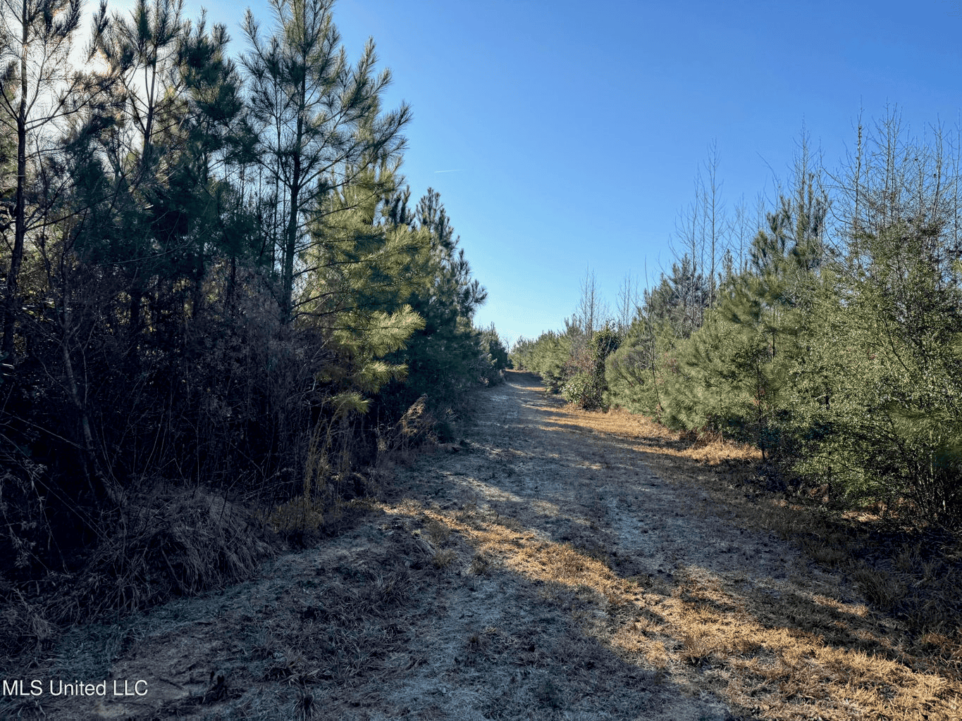 South MS Camp and Land Bordering the National Forest