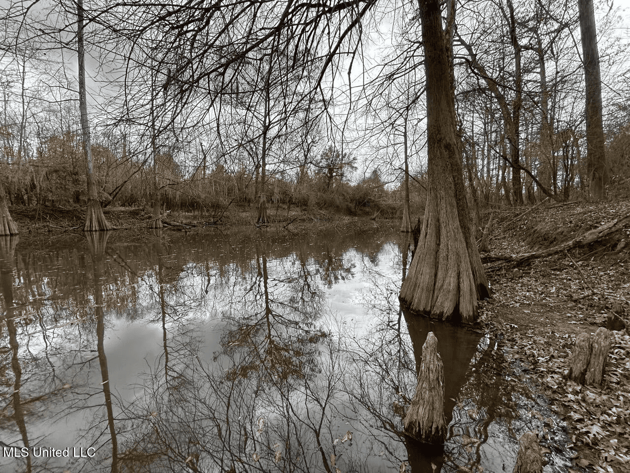 700 Acres in Allen Parish, Louisiana