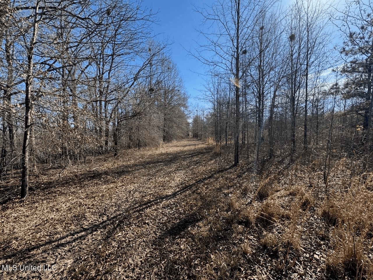 Tensas Riverfront Hunting Land Concordia Parish, LA