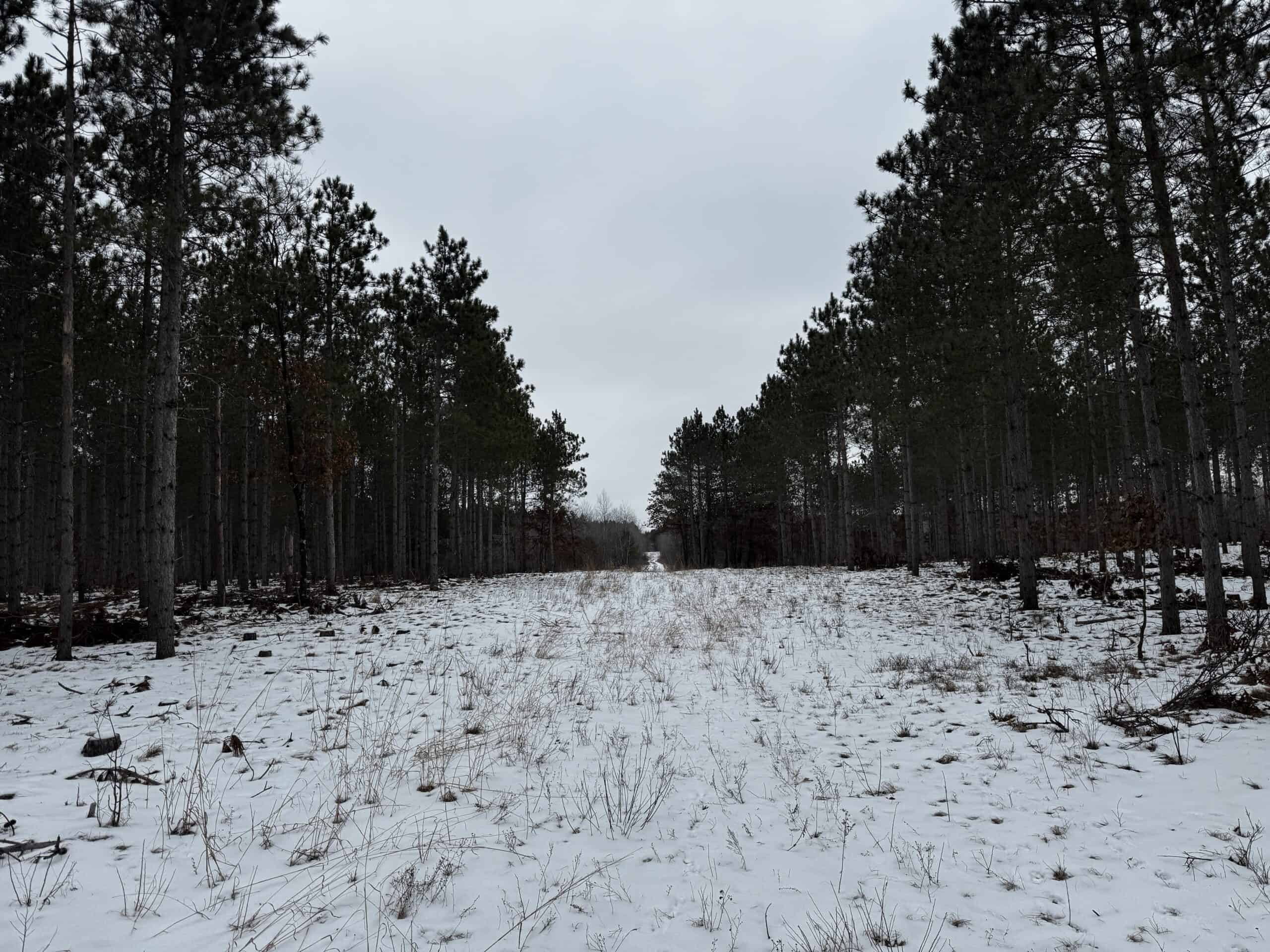80± acre parcel in the Town of Necedah, Juneau County