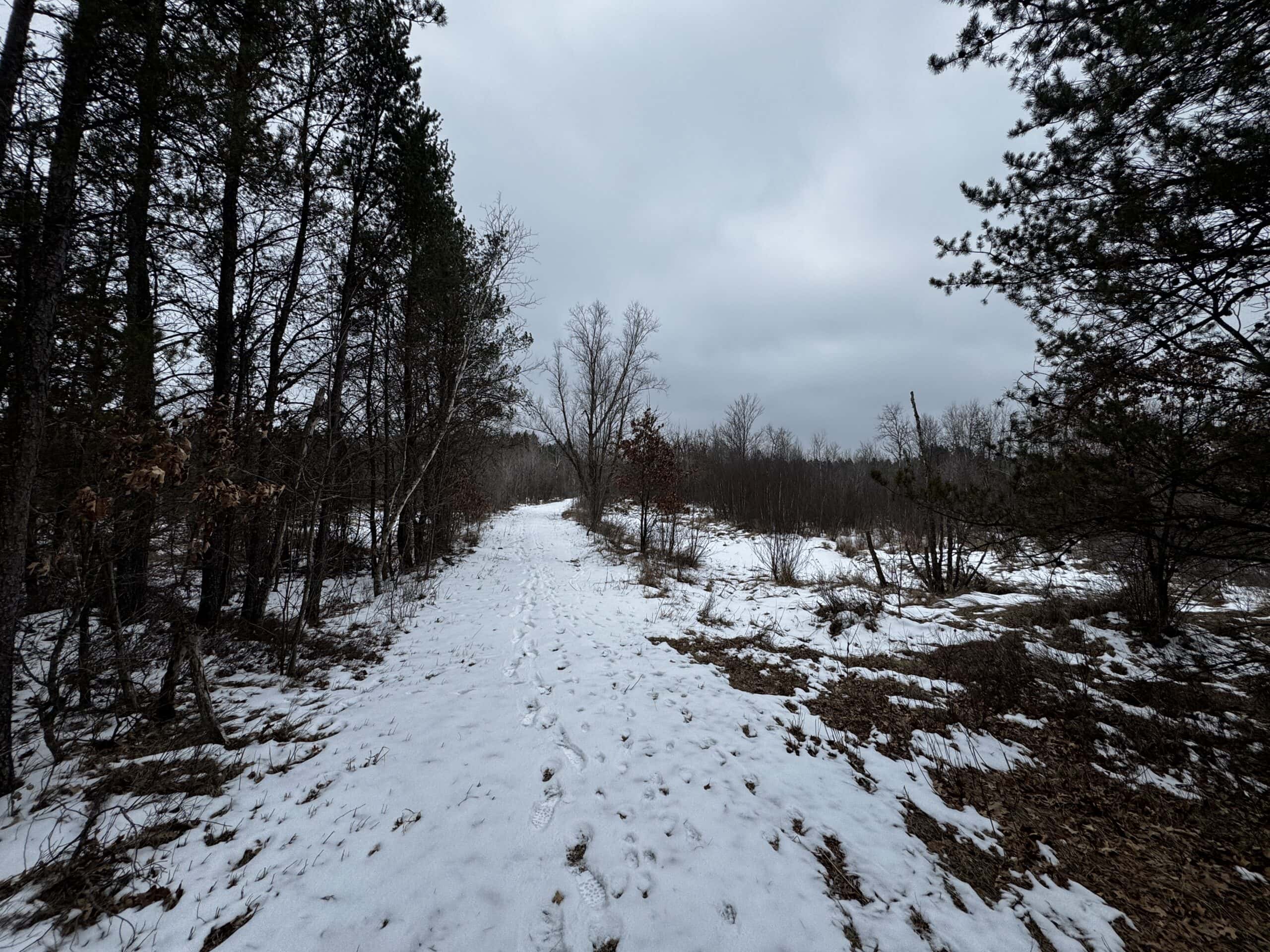 120± acre tract in the Town of Clearfield, Juneau County