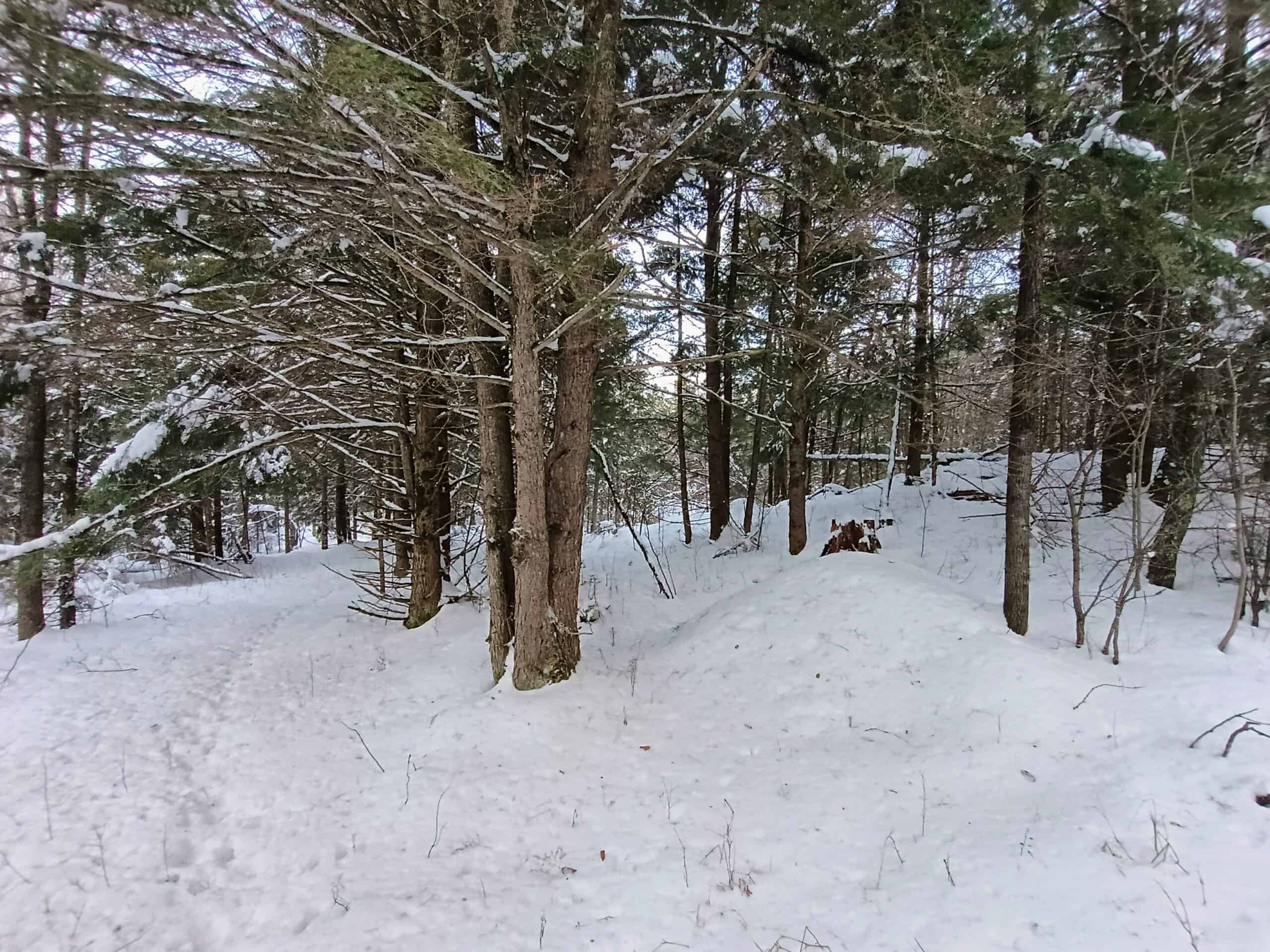 Custom Built Home with 124.16 ± Acres for Sale in Park Falls, WI
