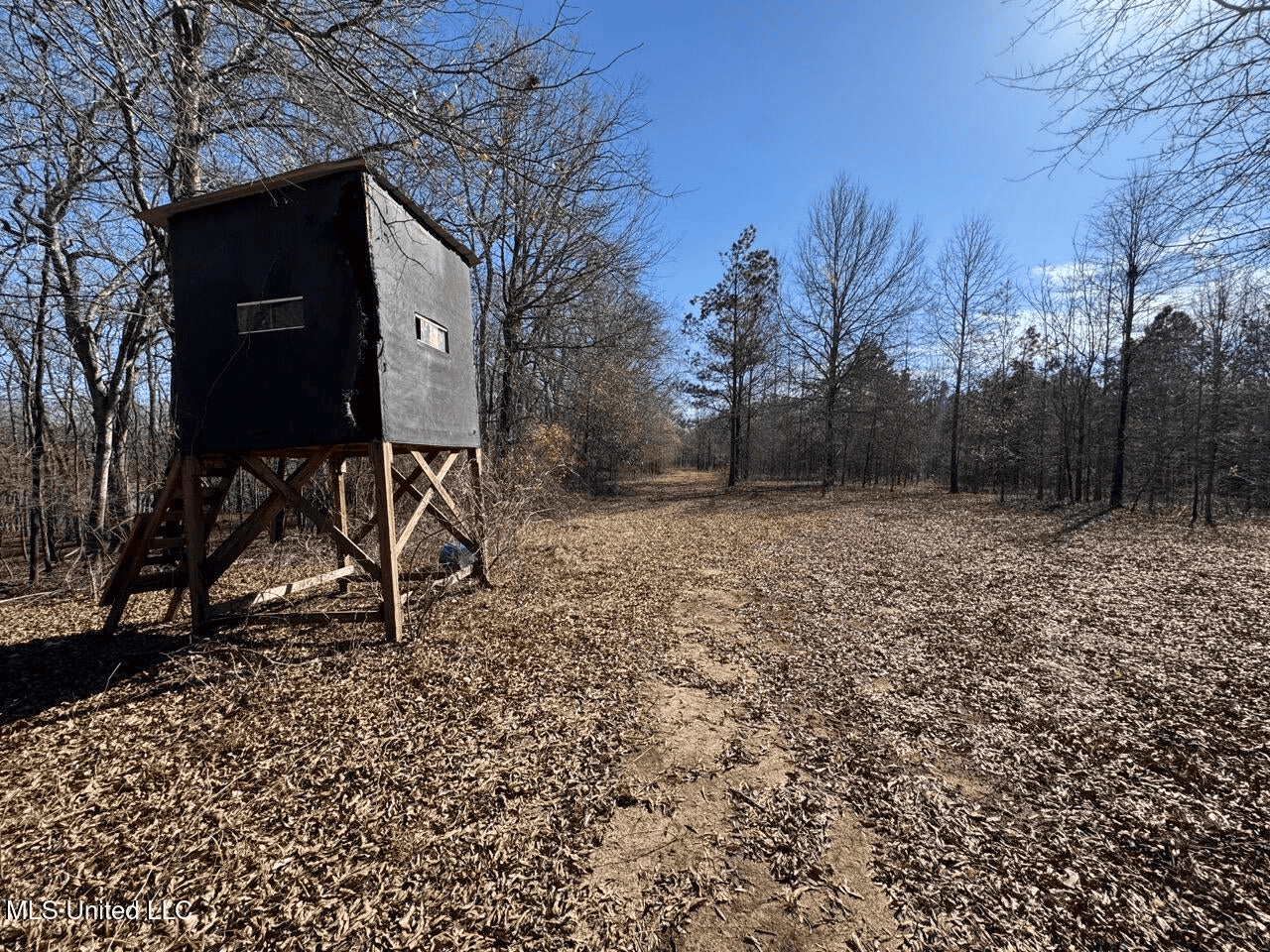 Tensas Riverfront Hunting Land Concordia Parish, LA