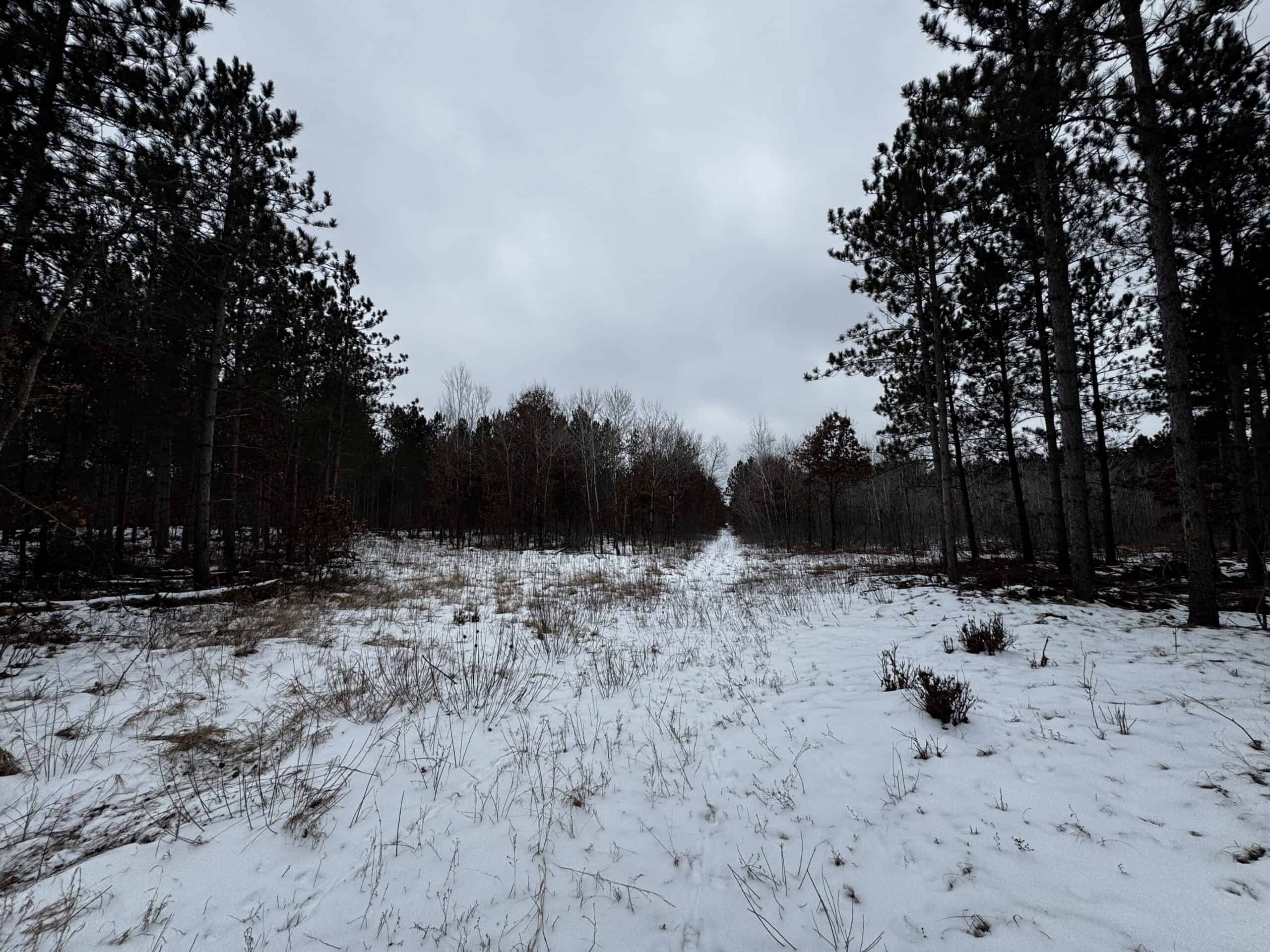 80± acre parcel in the Town of Necedah, Juneau County