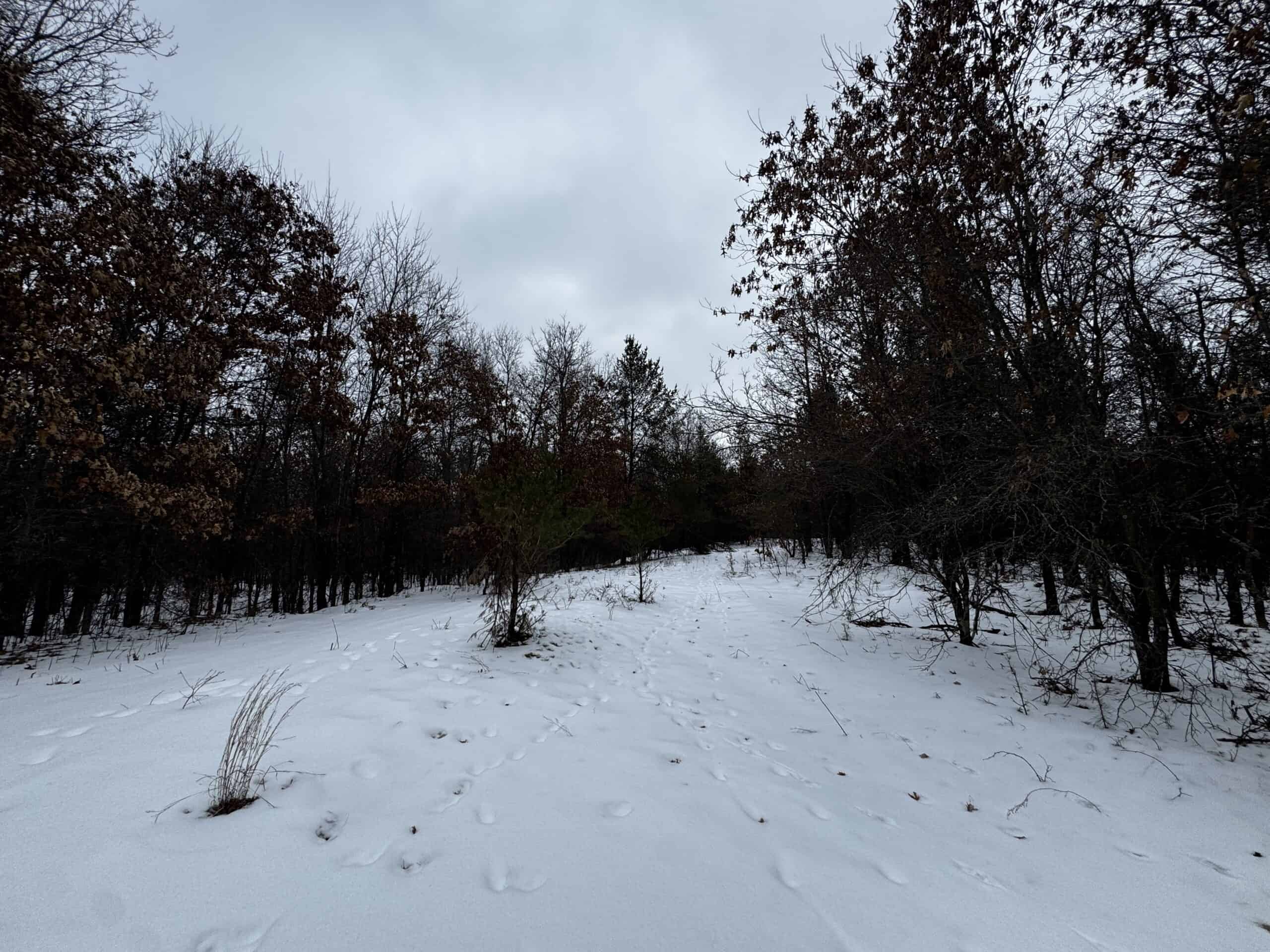 120± acre tract in the Town of Clearfield, Juneau County