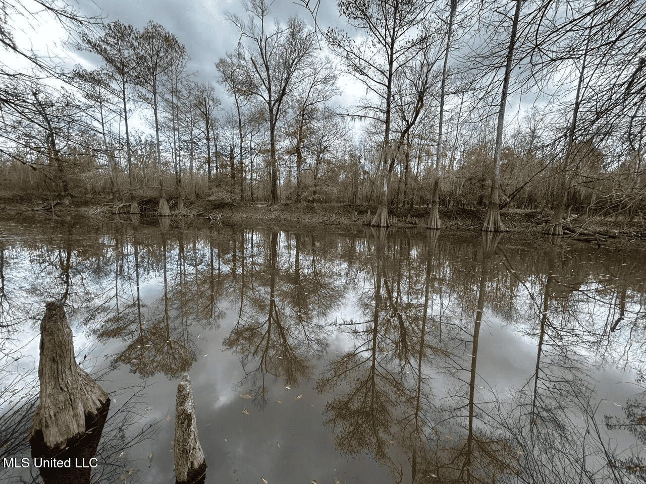 700 Acres in Allen Parish, Louisiana