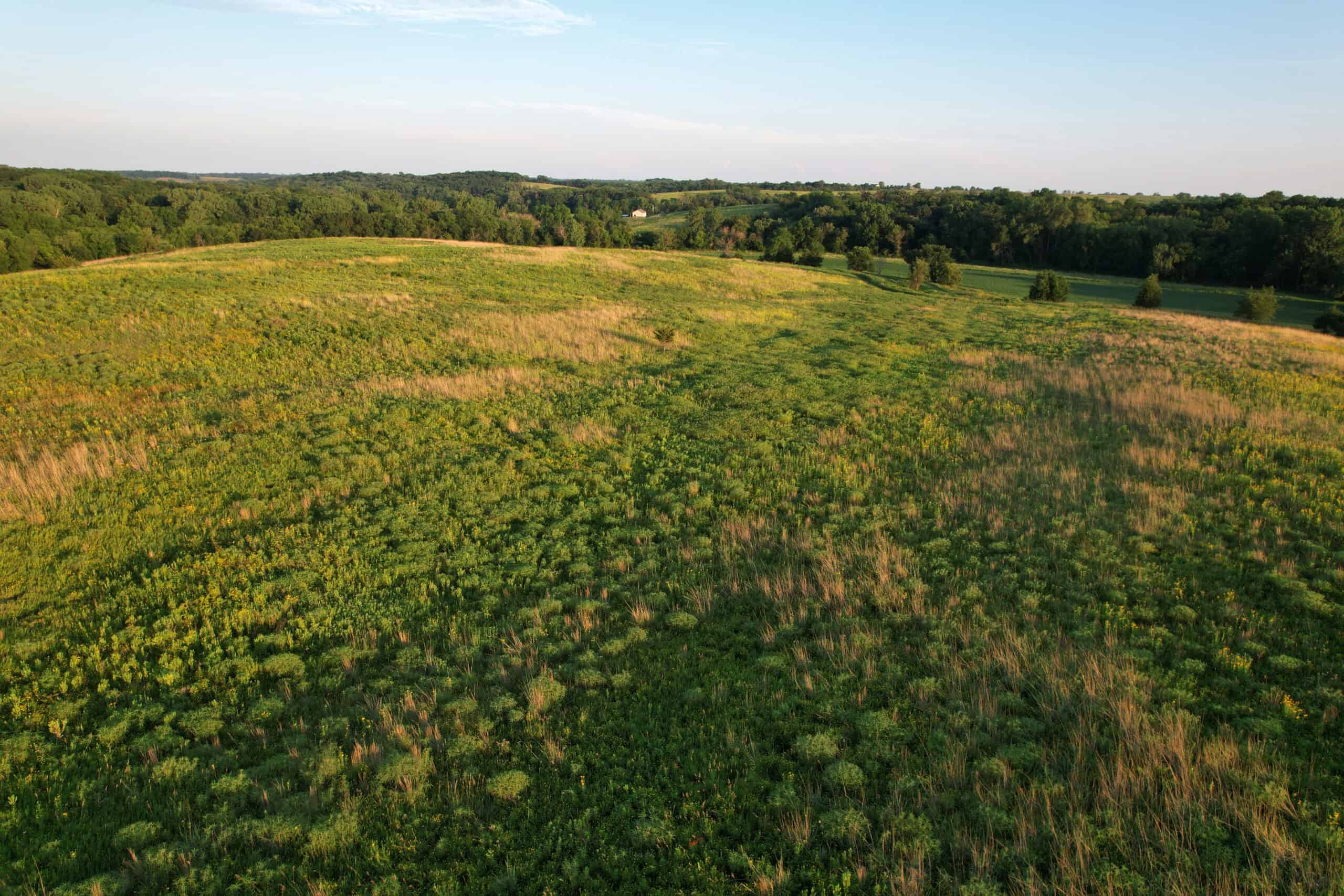 Southern Iowa Combination Hunting Tract