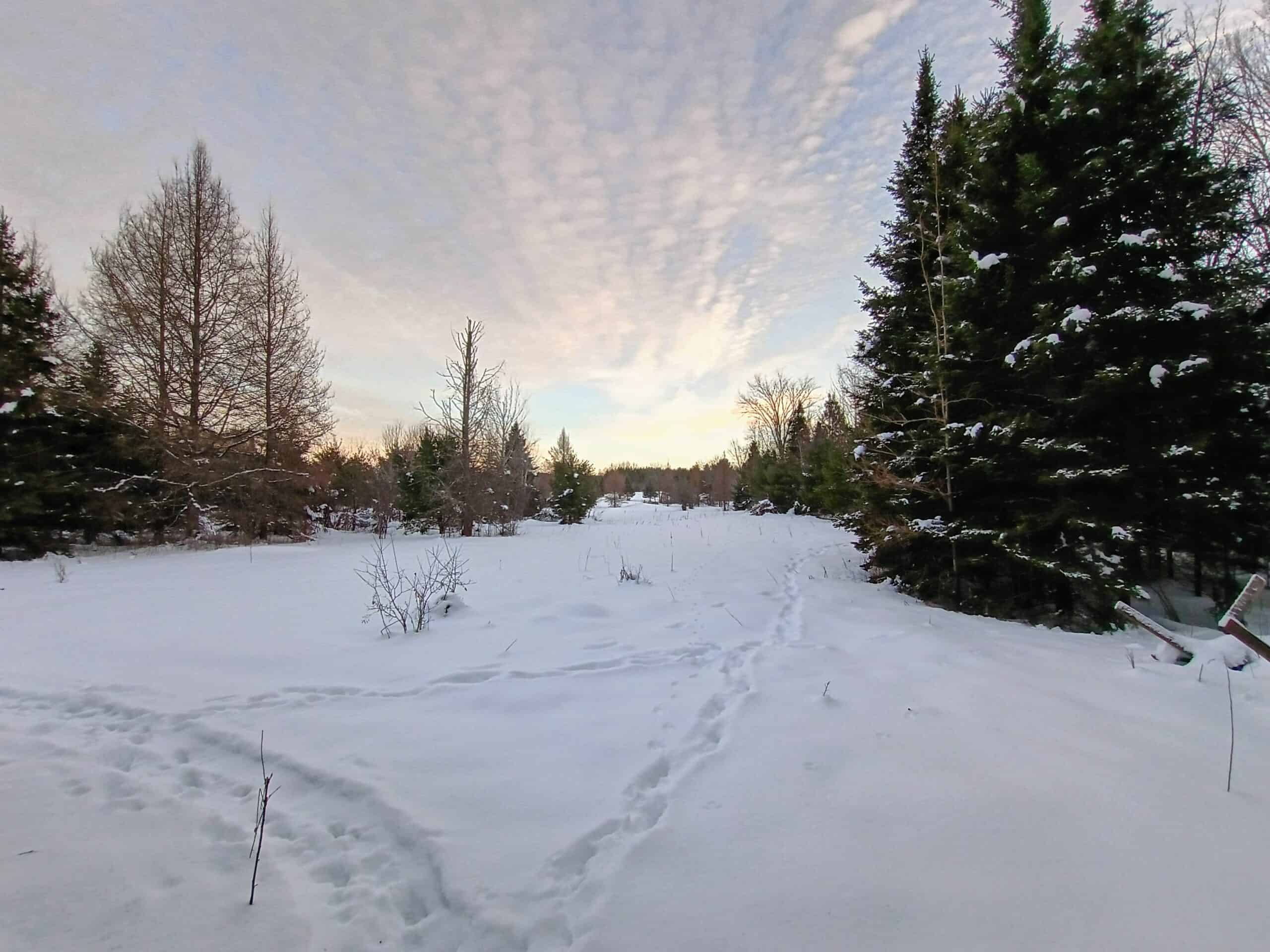 Custom Built Home with 124.16 ± Acres for Sale in Park Falls, WI