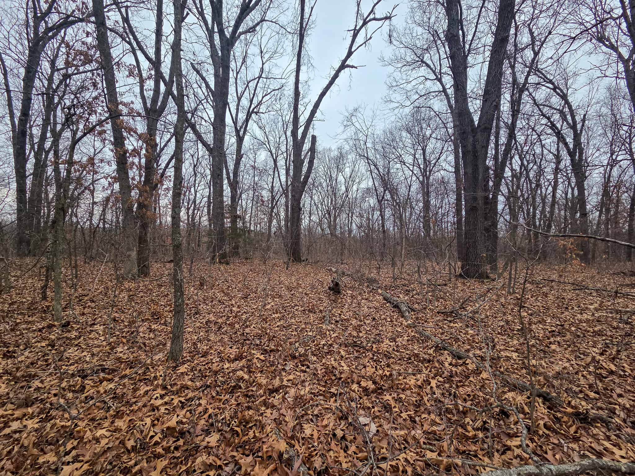 00 N Dade 237 Walnut Grove, MO 65770