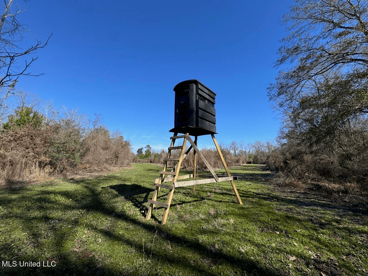 255 Acres East Baton Rouge Parish Near Zachary, LA