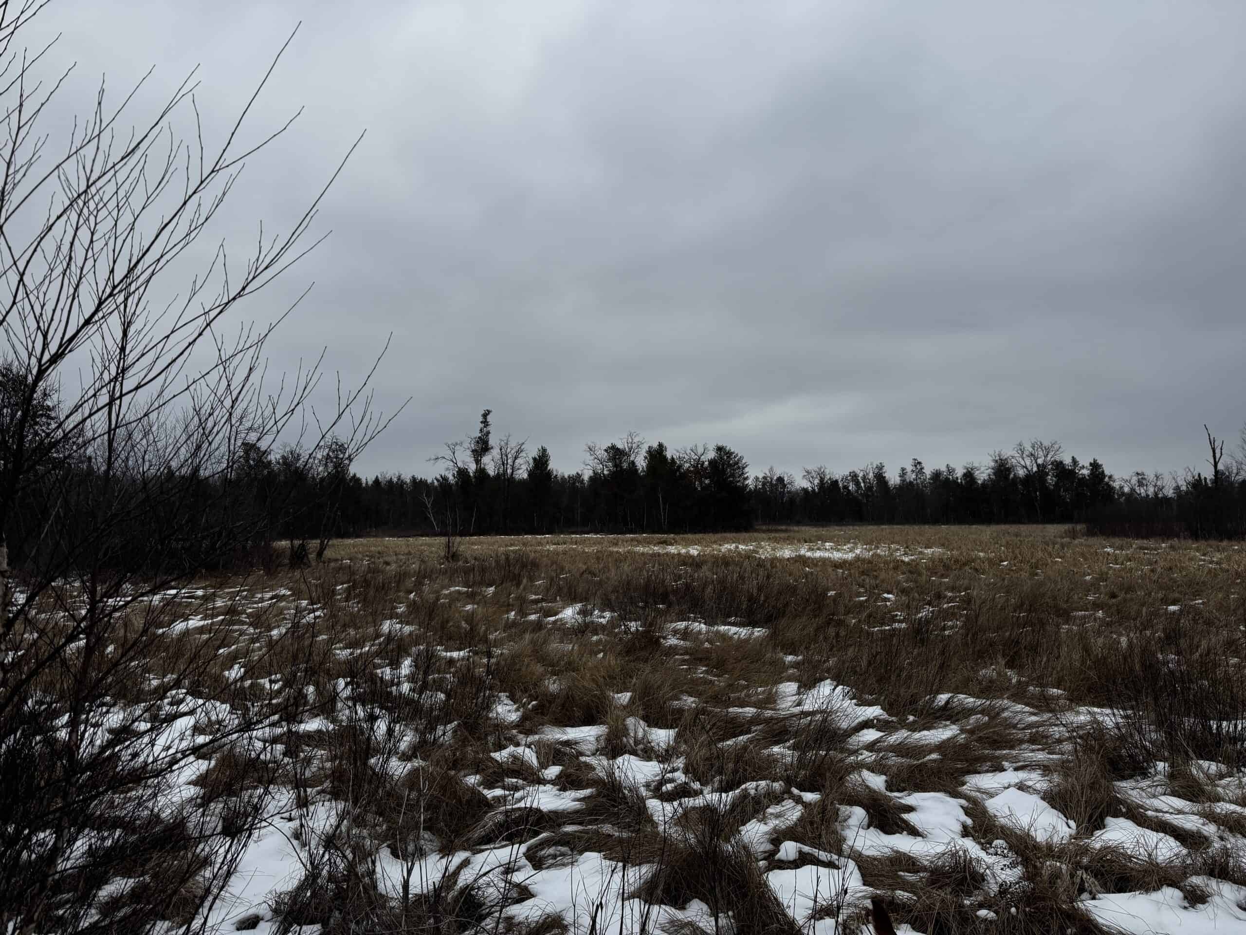120± acre tract in the Town of Clearfield, Juneau County