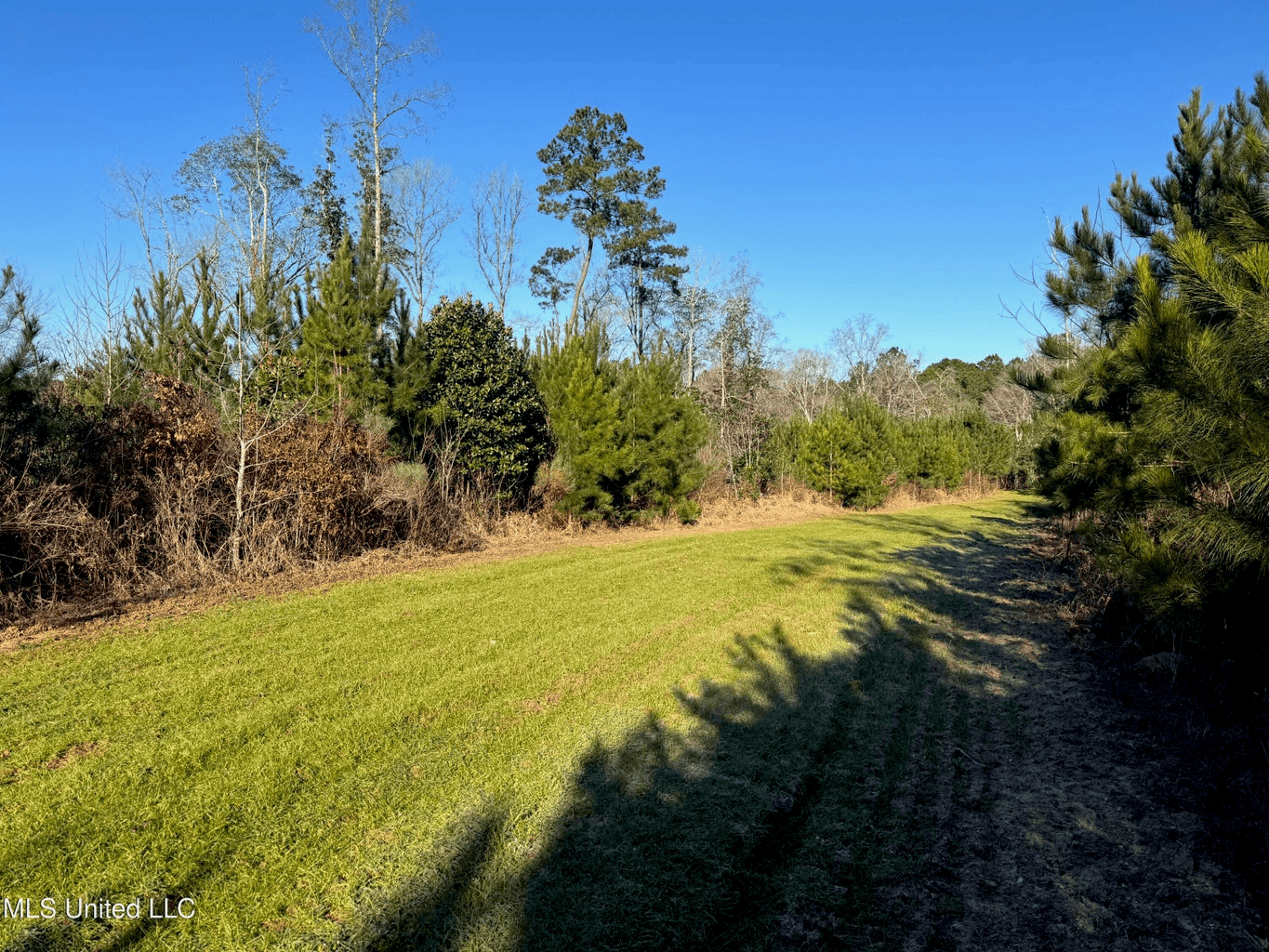 South MS Camp and Land Bordering the National Forest
