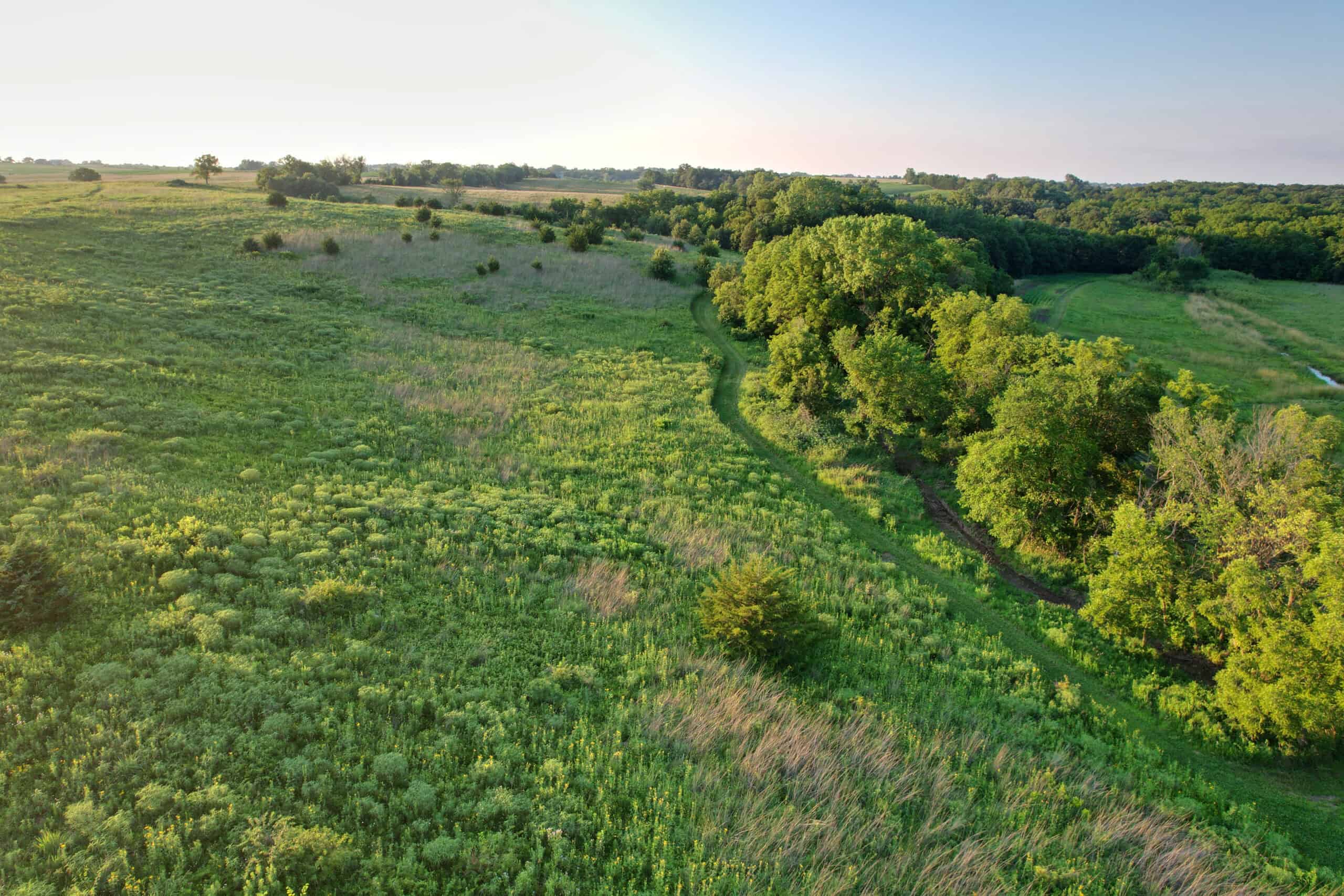 Southern Iowa Combination Hunting Tract