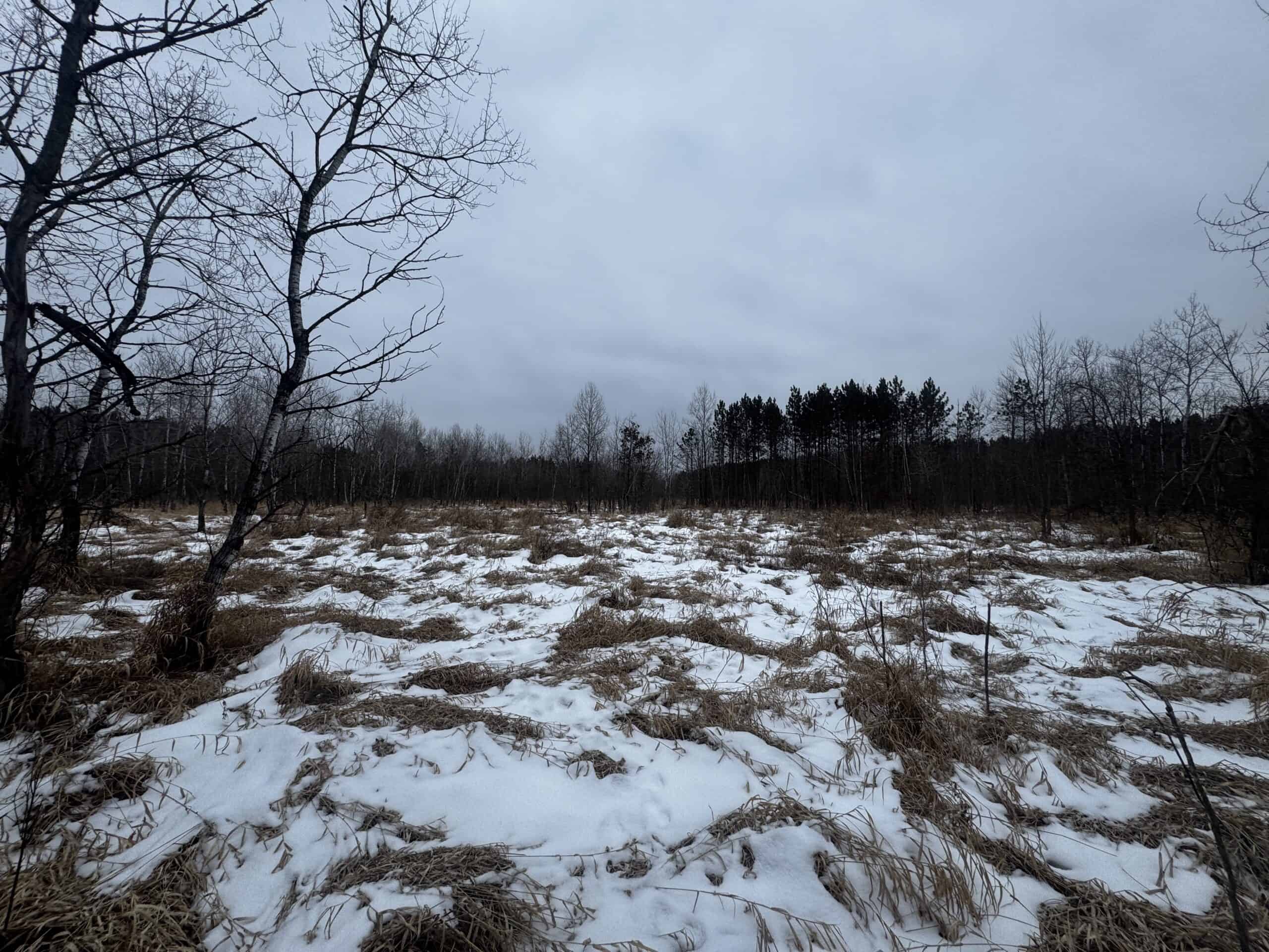 81.64± Acre Parcel in the Town of Clearfield, Juneau County