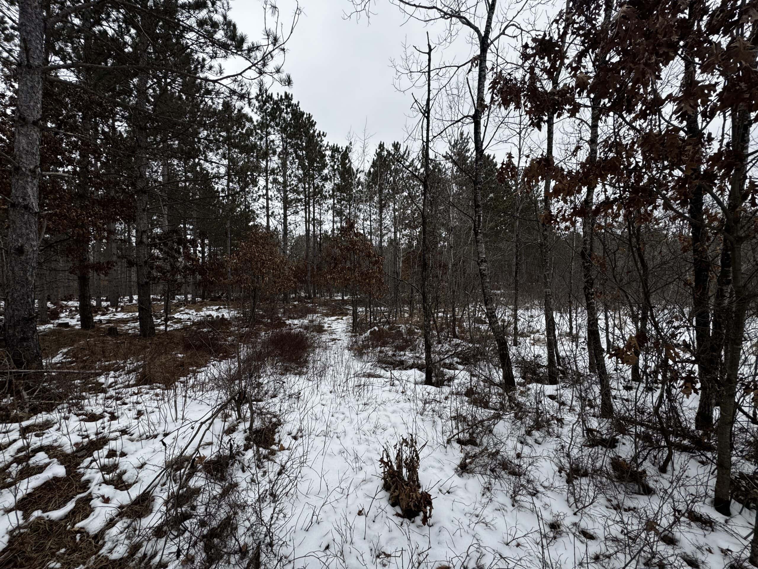 80± acre parcel in the Town of Necedah, Juneau County
