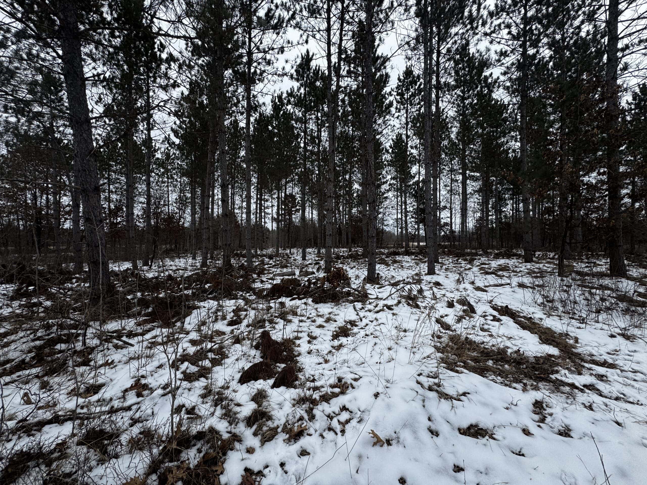 120± acre tract in the Town of Clearfield, Juneau County