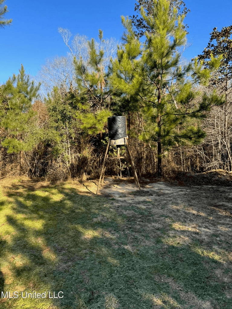 South MS Camp and Land Bordering the National Forest
