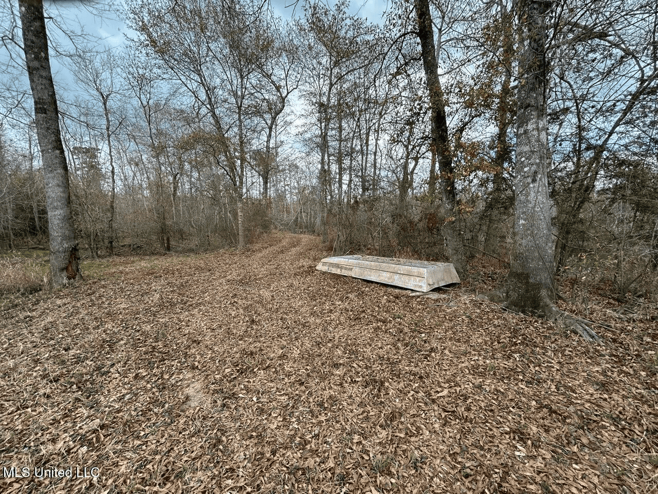 700 Acres in Allen Parish, Louisiana
