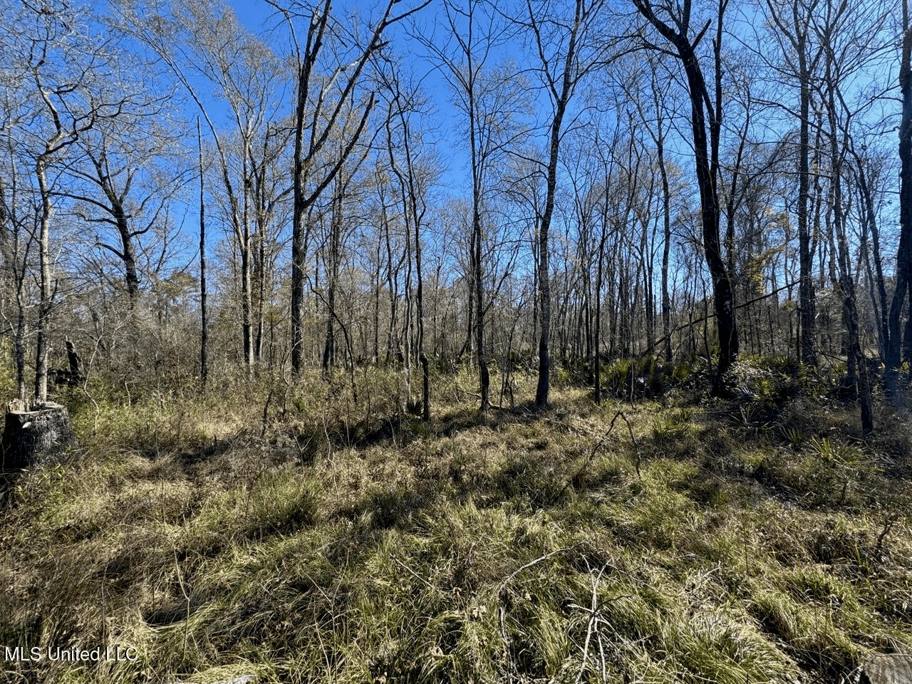255 Acres East Baton Rouge Parish Near Zachary, LA