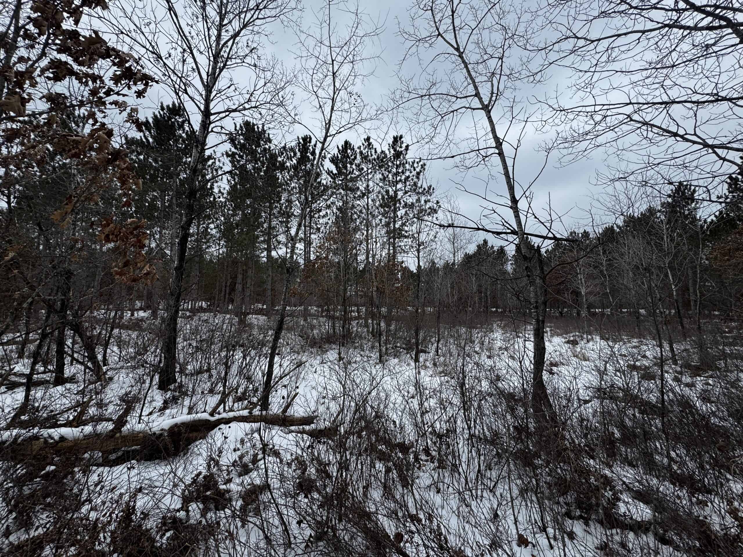 120± acre tract in the Town of Clearfield, Juneau County