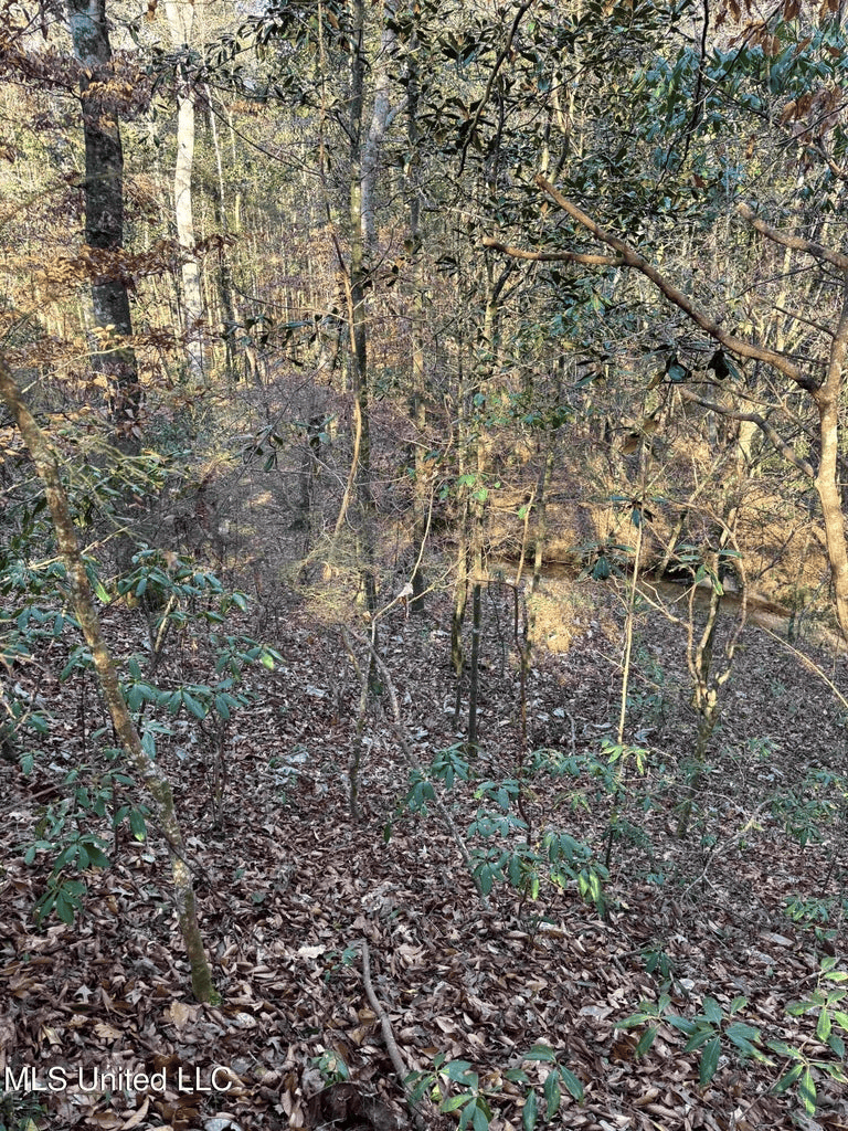 South MS Camp and Land Bordering the National Forest
