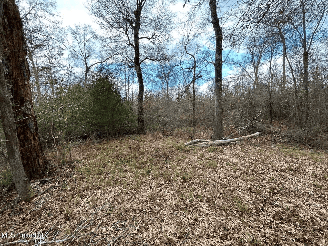 700 Acres in Allen Parish, Louisiana