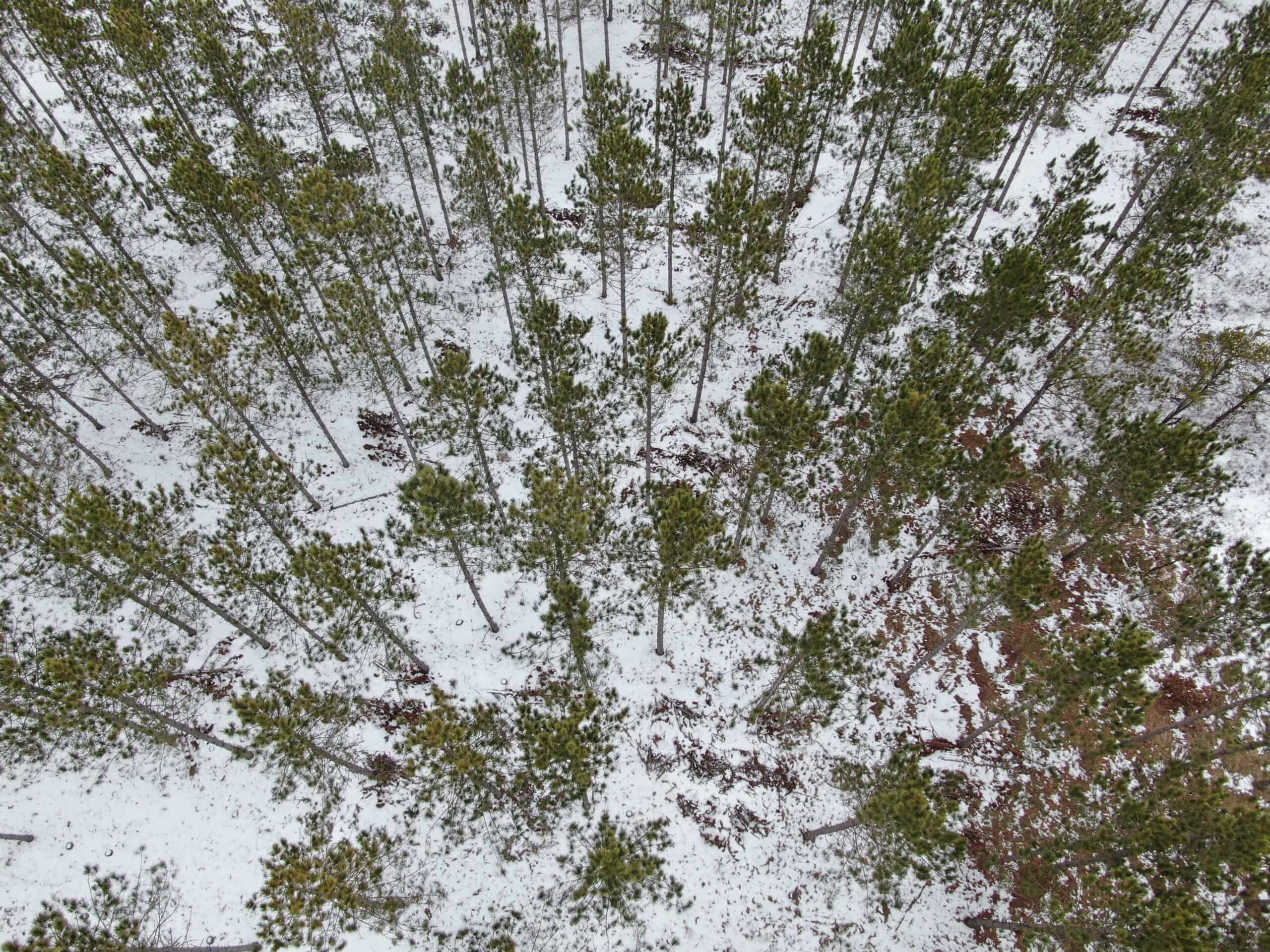 80± acre parcel in the Town of Necedah, Juneau County