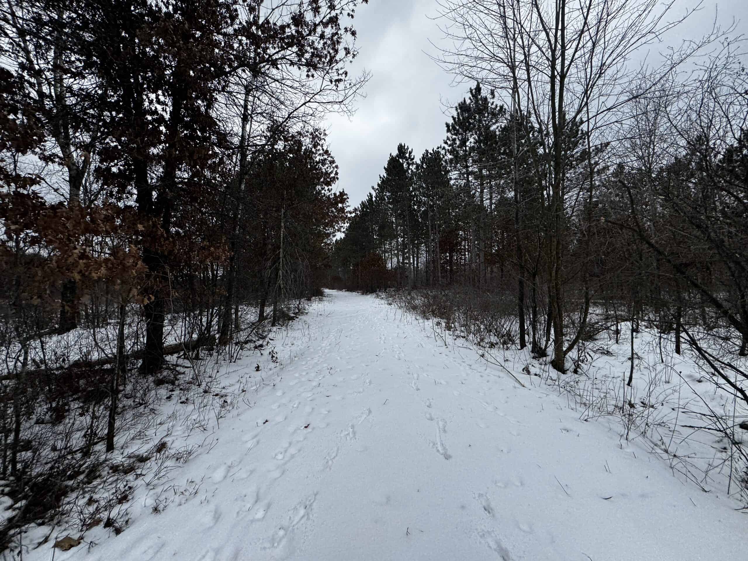 120± acre tract in the Town of Clearfield, Juneau County
