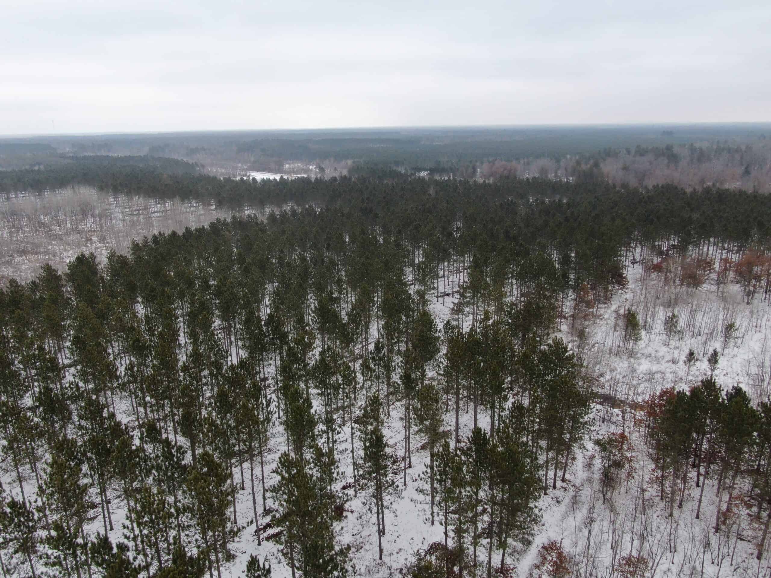 80± acre parcel in the Town of Necedah, Juneau County