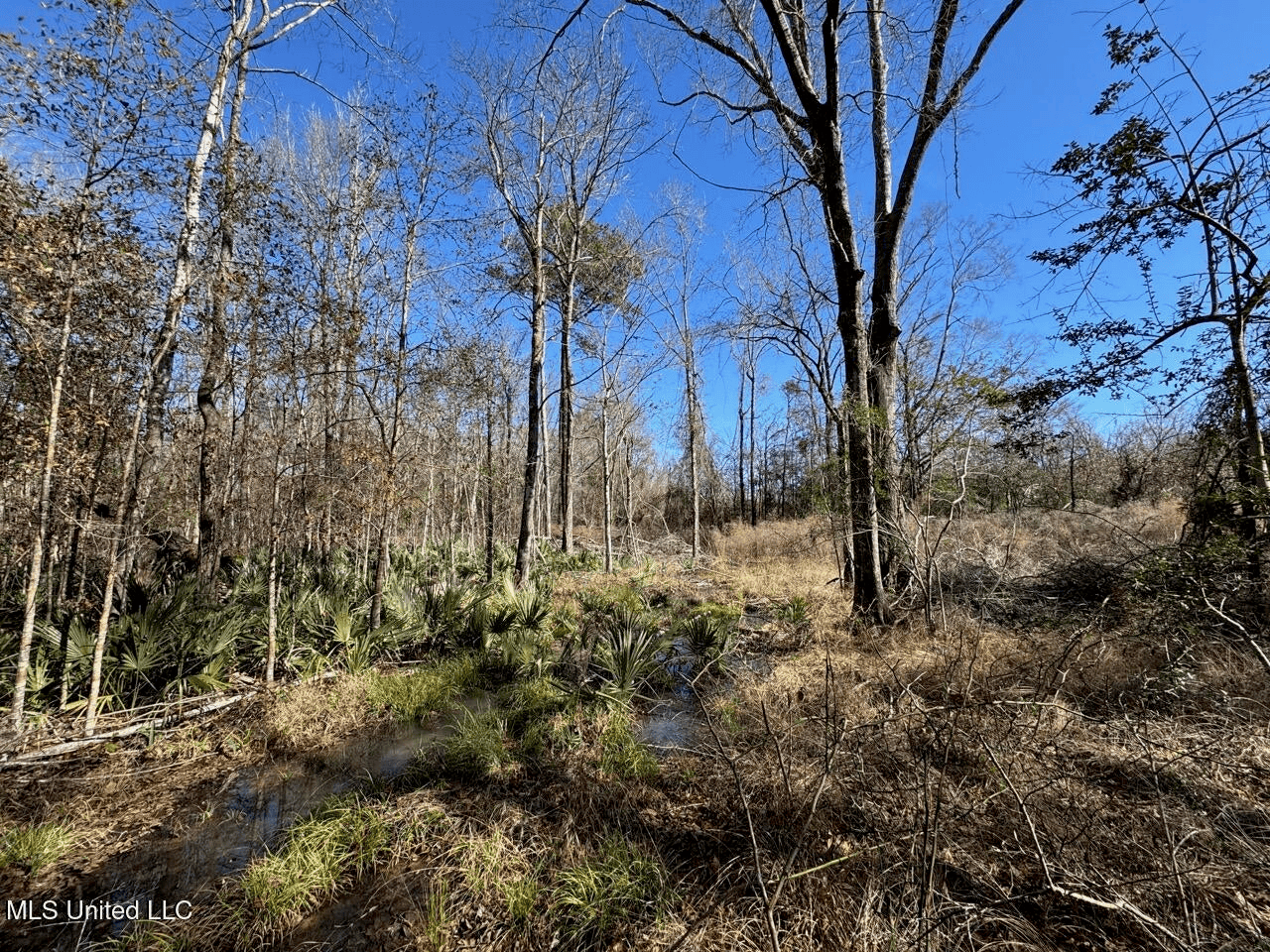 255 Acres East Baton Rouge Parish Near Zachary, LA