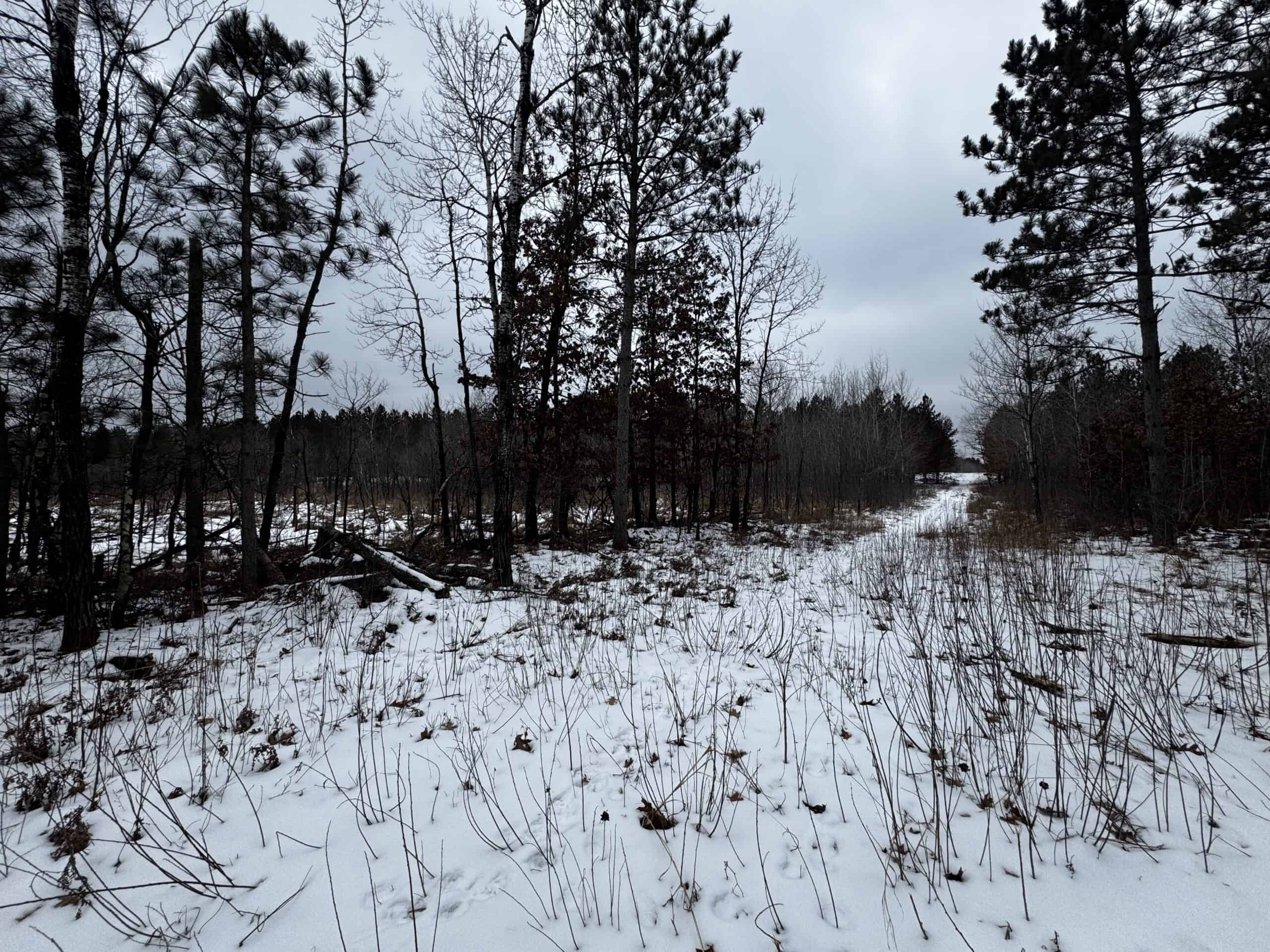 120± acre tract in the Town of Clearfield, Juneau County