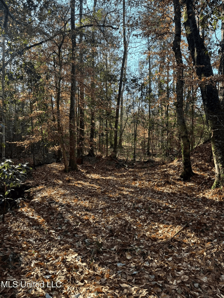 South MS Camp and Land Bordering the National Forest