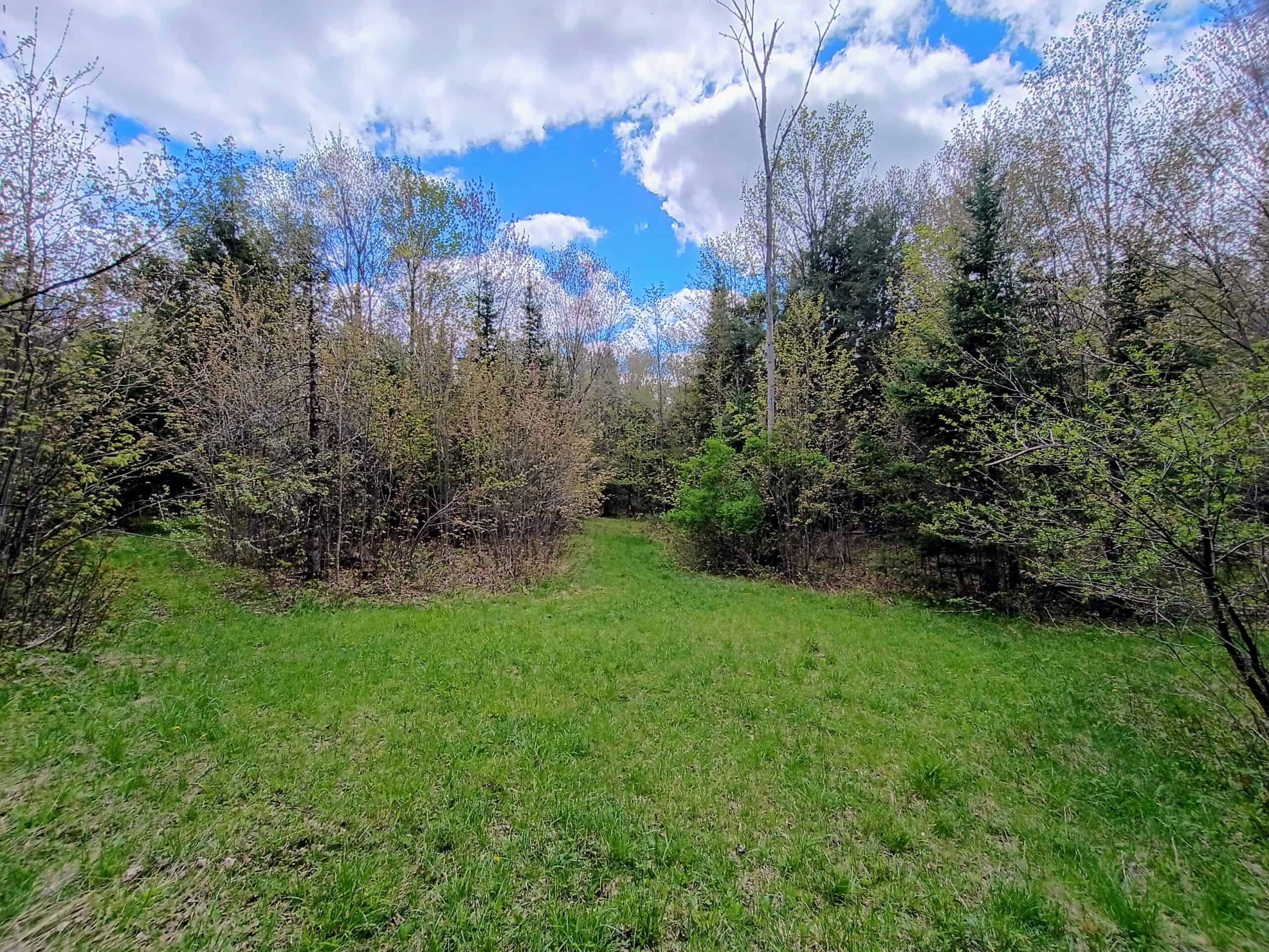 Custom Built Home with 65.8 ± Acres for Sale in Park Falls, WI