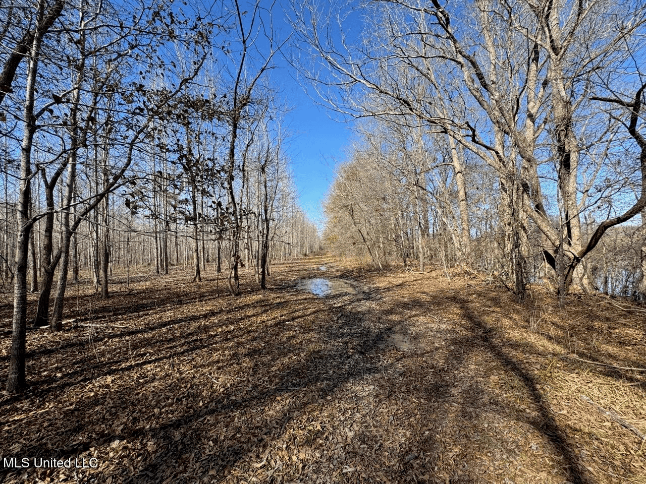 Tensas Riverfront Hunting Land Concordia Parish, LA