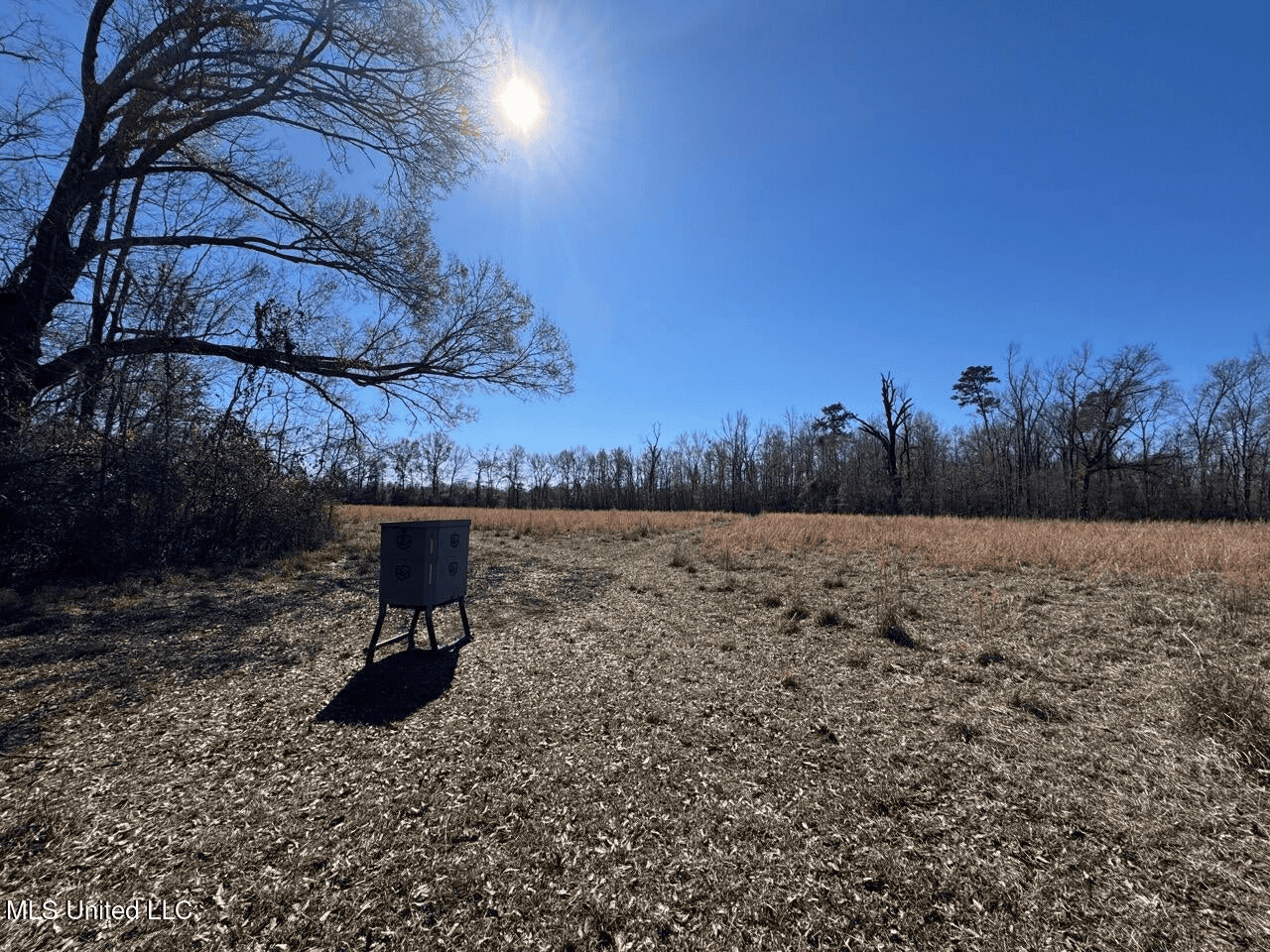 255 Acres East Baton Rouge Parish Near Zachary, LA